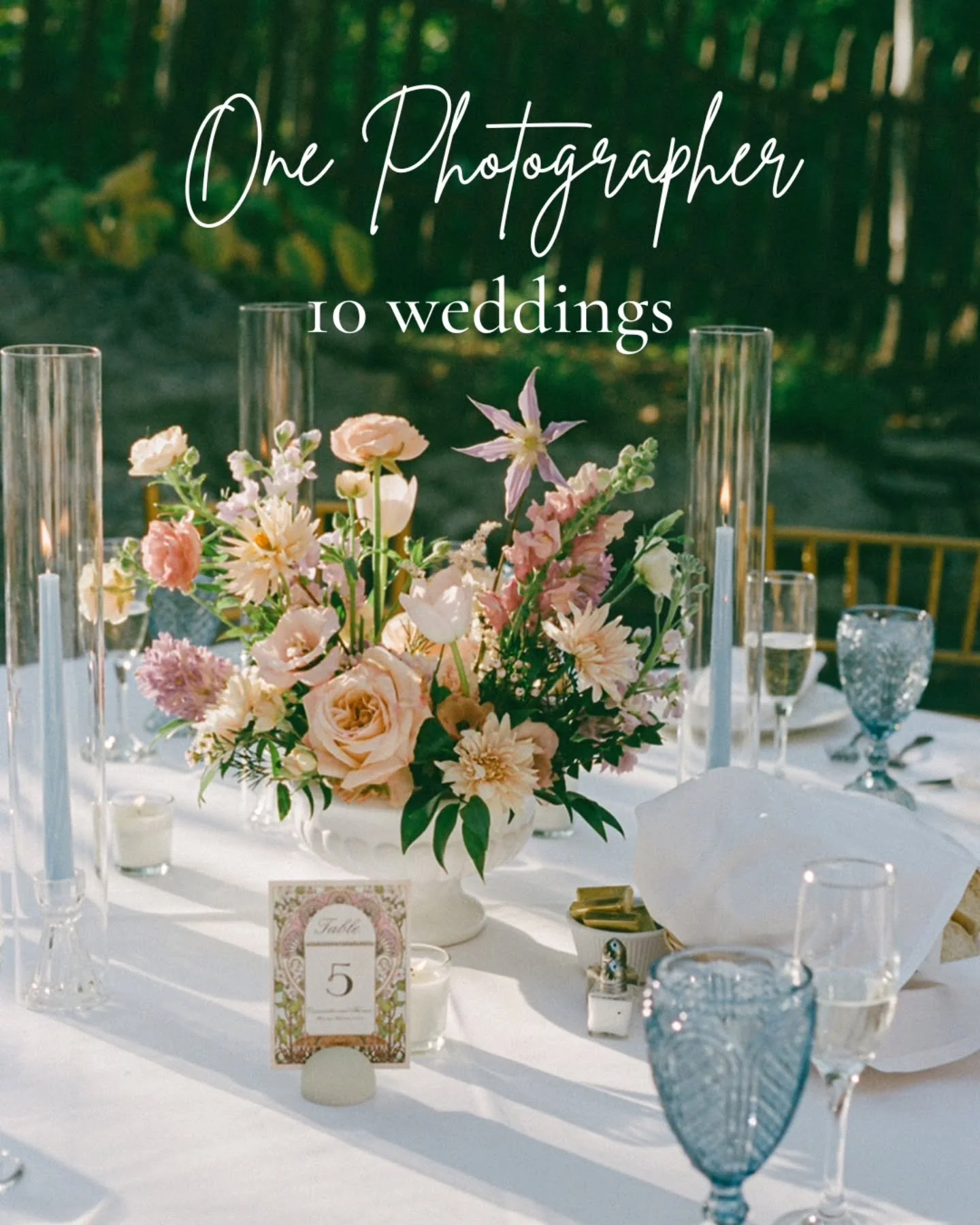 One Photographer, 10 weddings
This trend is so much fun! It's very cool seeing the differences from each wedding side by side.