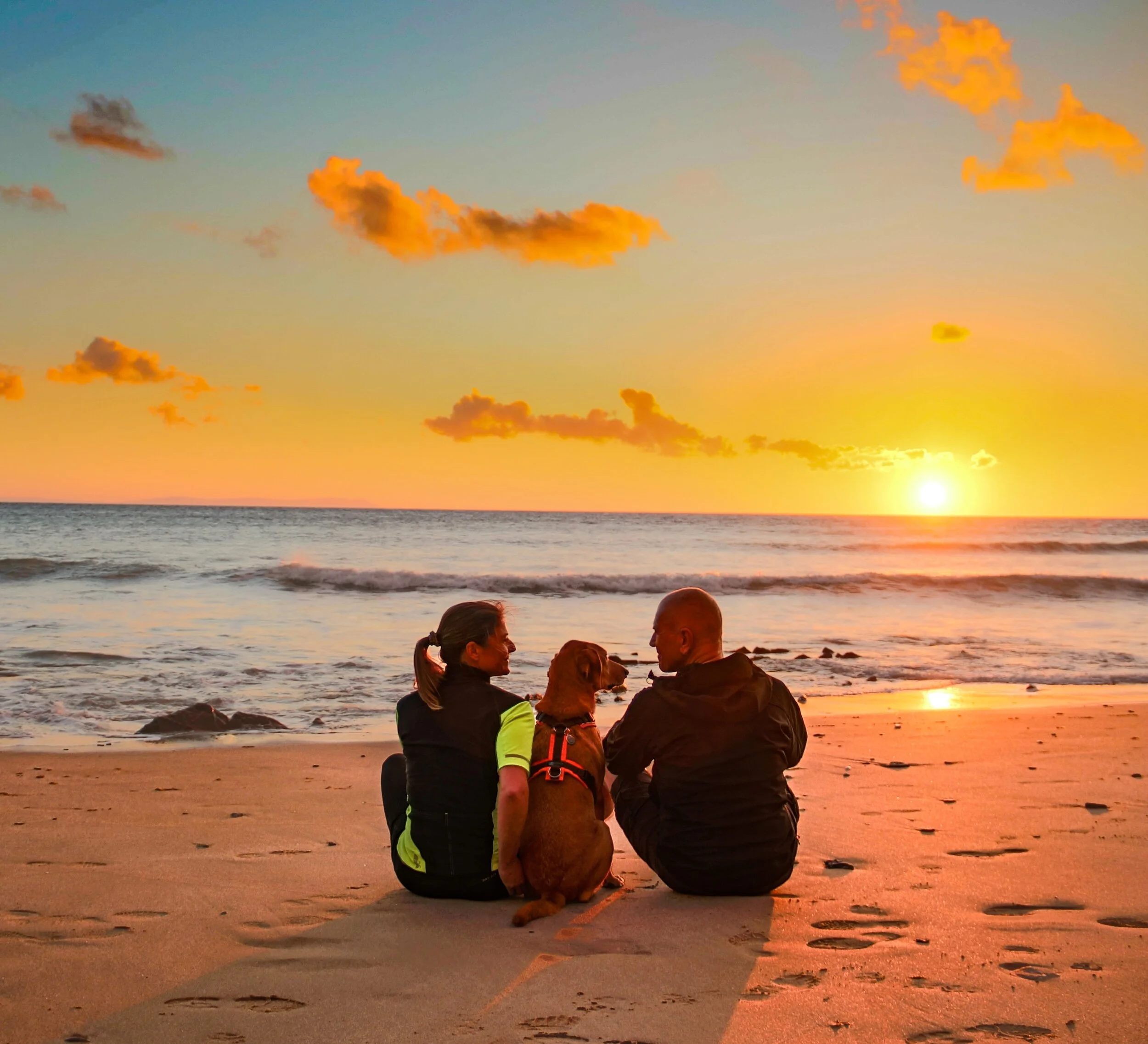 Location — The Oasis at Mattituck