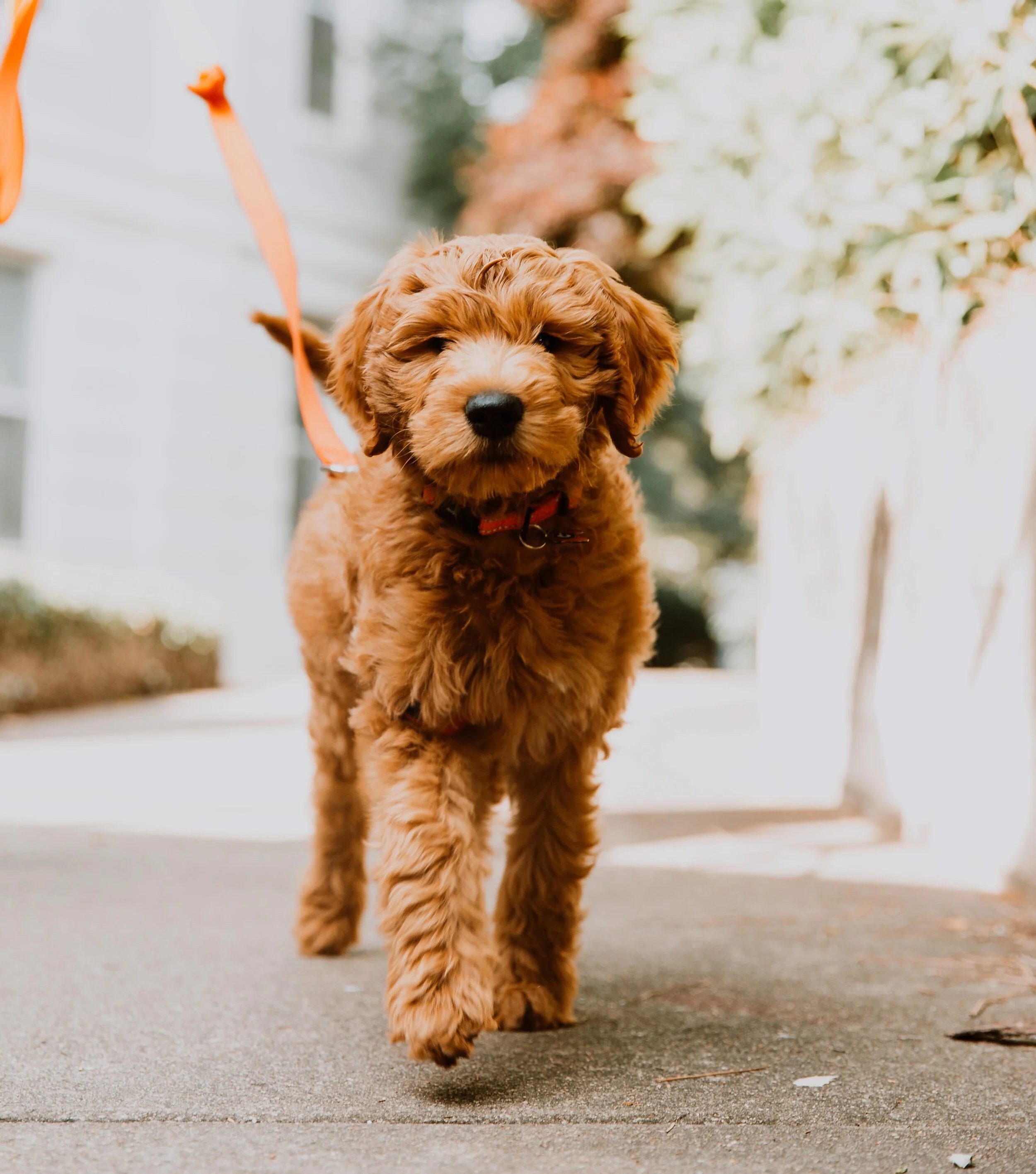 Location — The Oasis at Mattituck