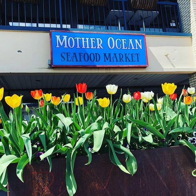  mother ocean market seafood 