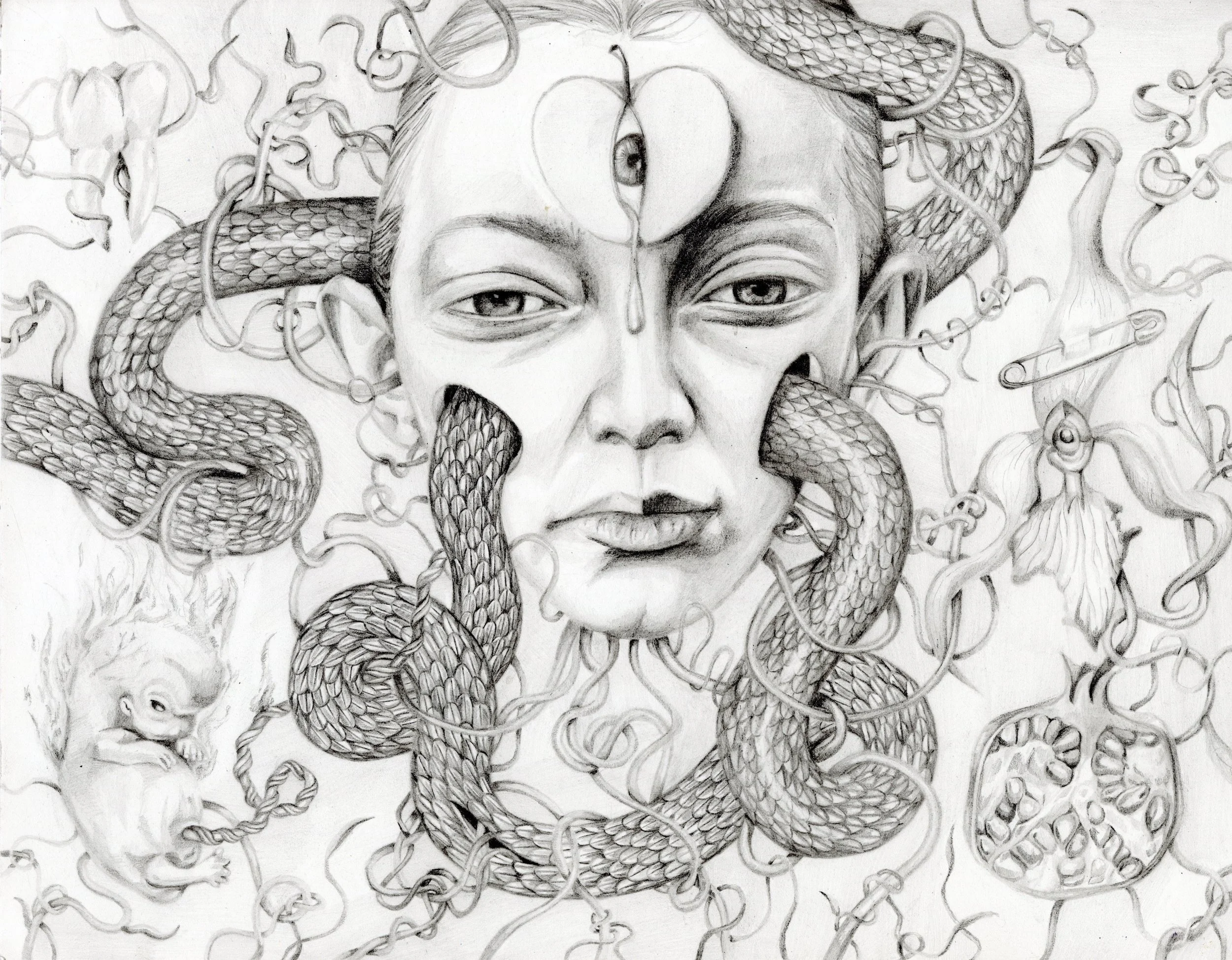  untitled 2026 
 23 × 30,5 cm pencil on paper