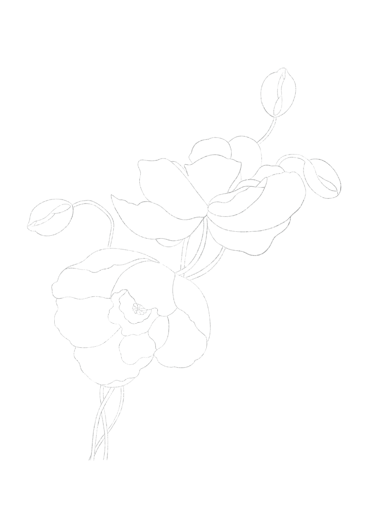 Paintable Note Cards_Floras&Botanicals-06.png