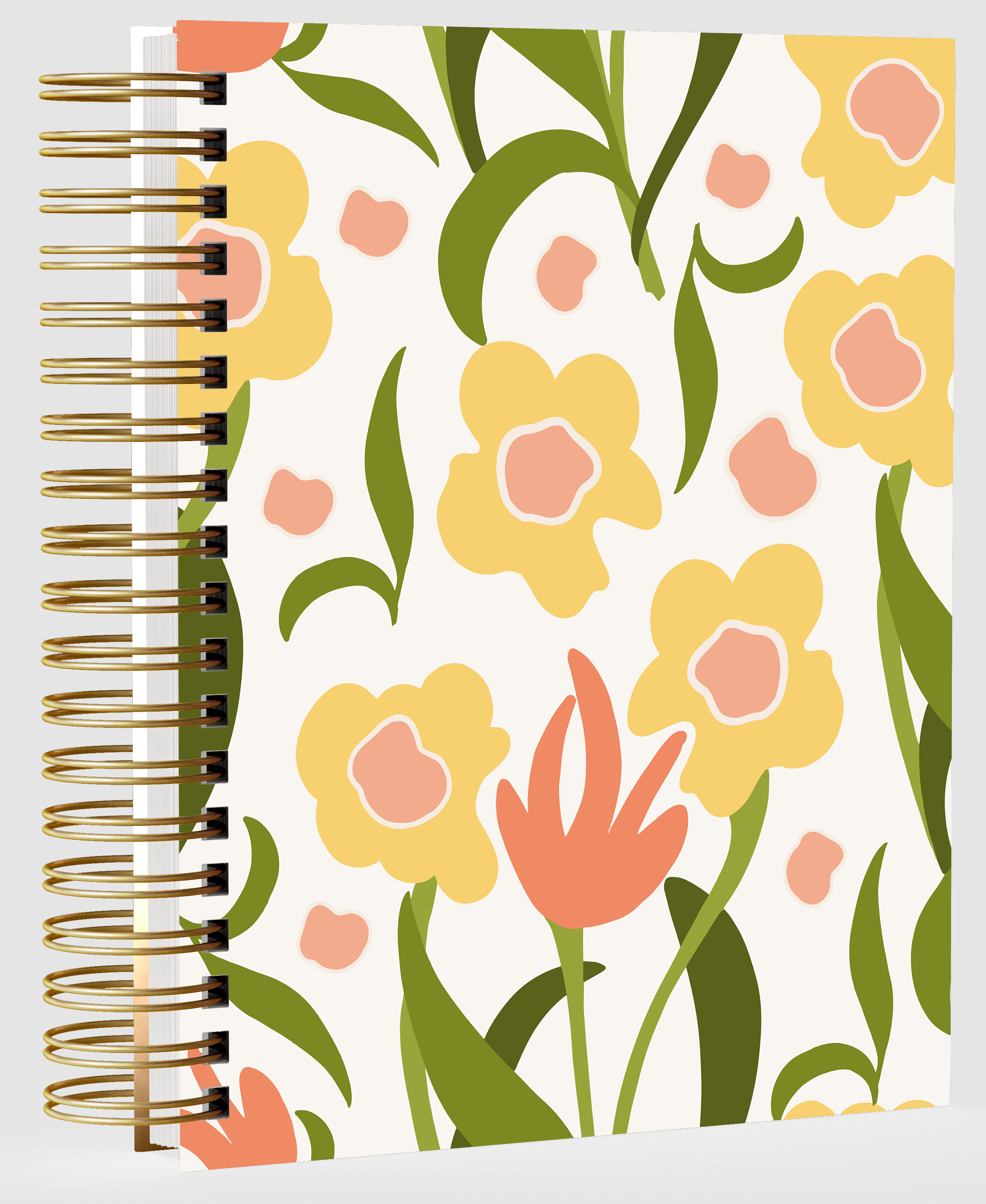 FUN AND COLORFUL WIRE BOUND JOURNALS with RULED PAGES