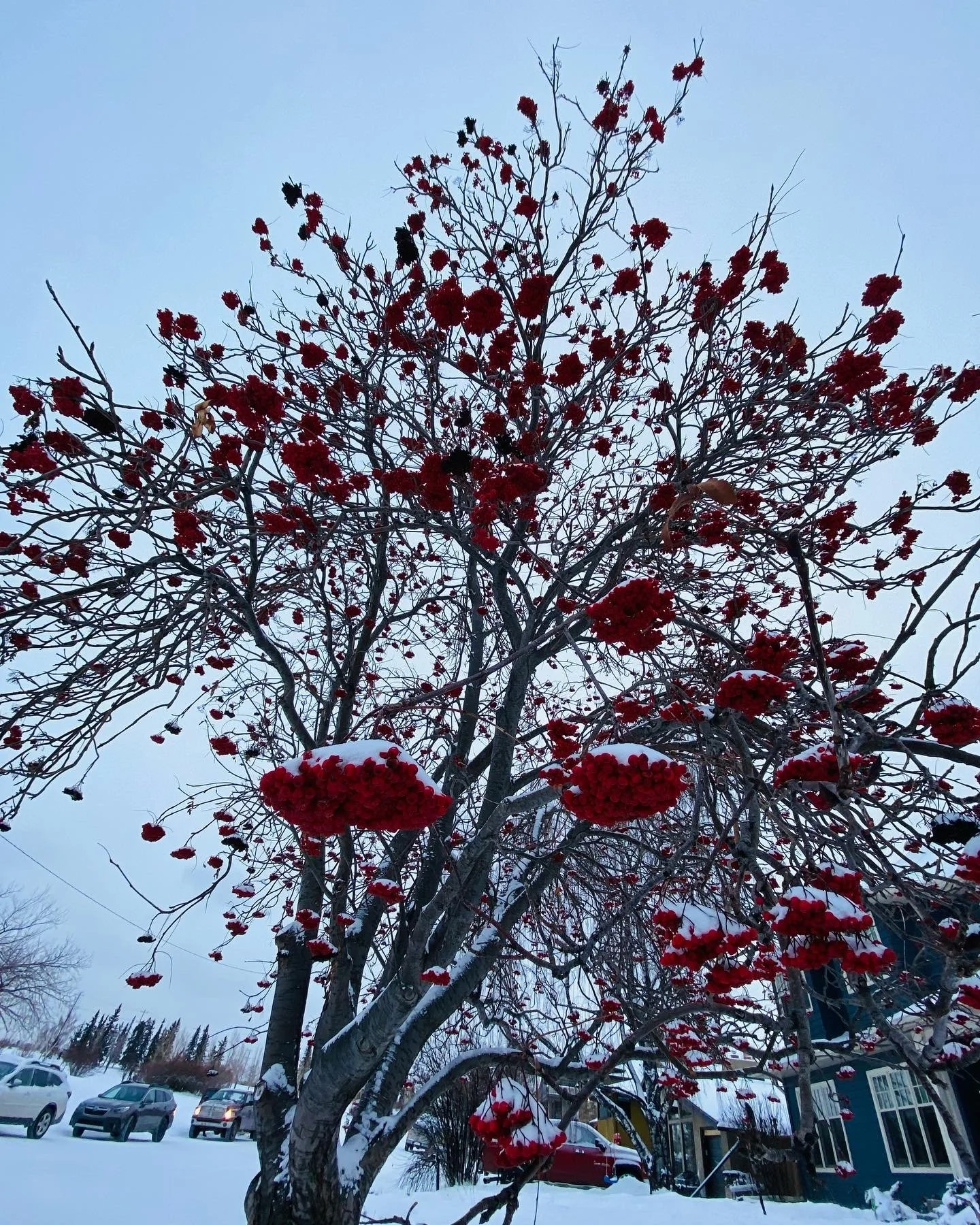 C7097348-75EE-46B3-ABD2-7D1EA1FCEE13.jpeg