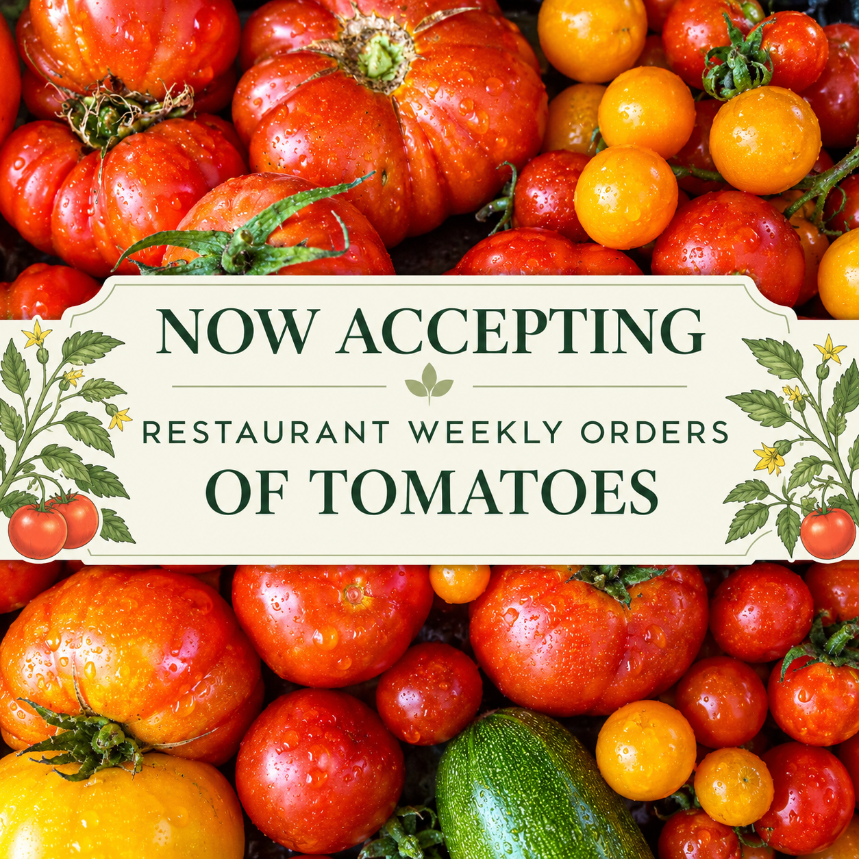 Fresh Tomato Orders Advertisement.png