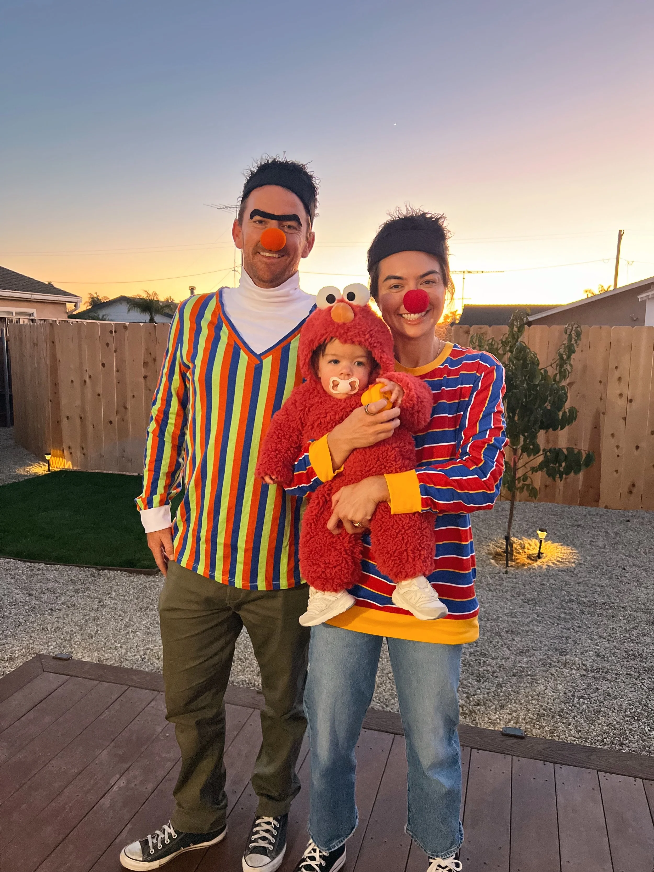 Sesame Street Family Costumes