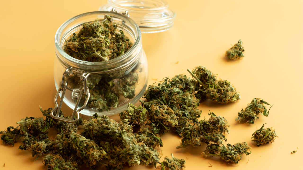 Can you get a medical marijuana card for anxiety​?