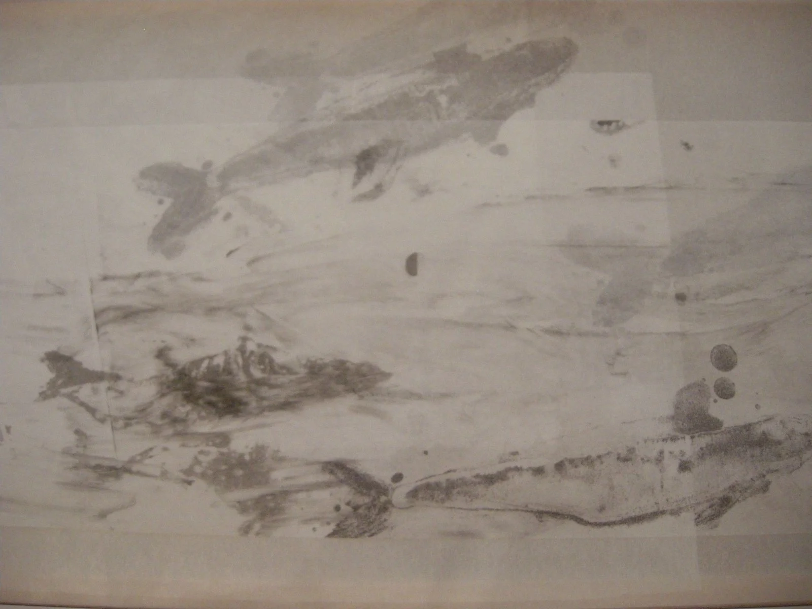 DSCN7979.JPG