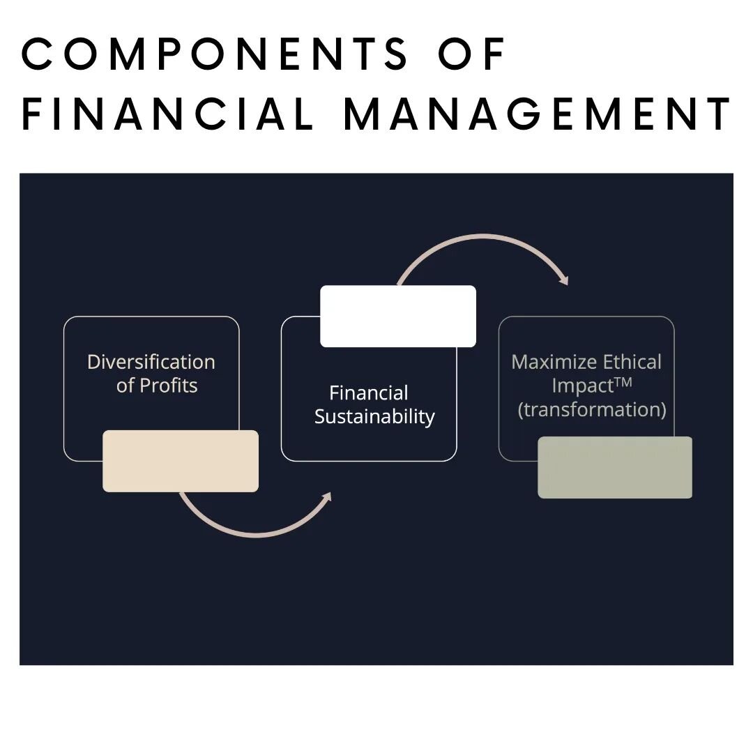 How do you diversify profits for financial sustainability in order to maximize your ethical impact?
Our Module 4 on Financial Management provides a guide to understanding your relationship with money, identifying the best models your business can uti