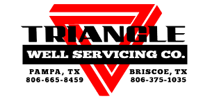 Triangle Well logo 2.png
