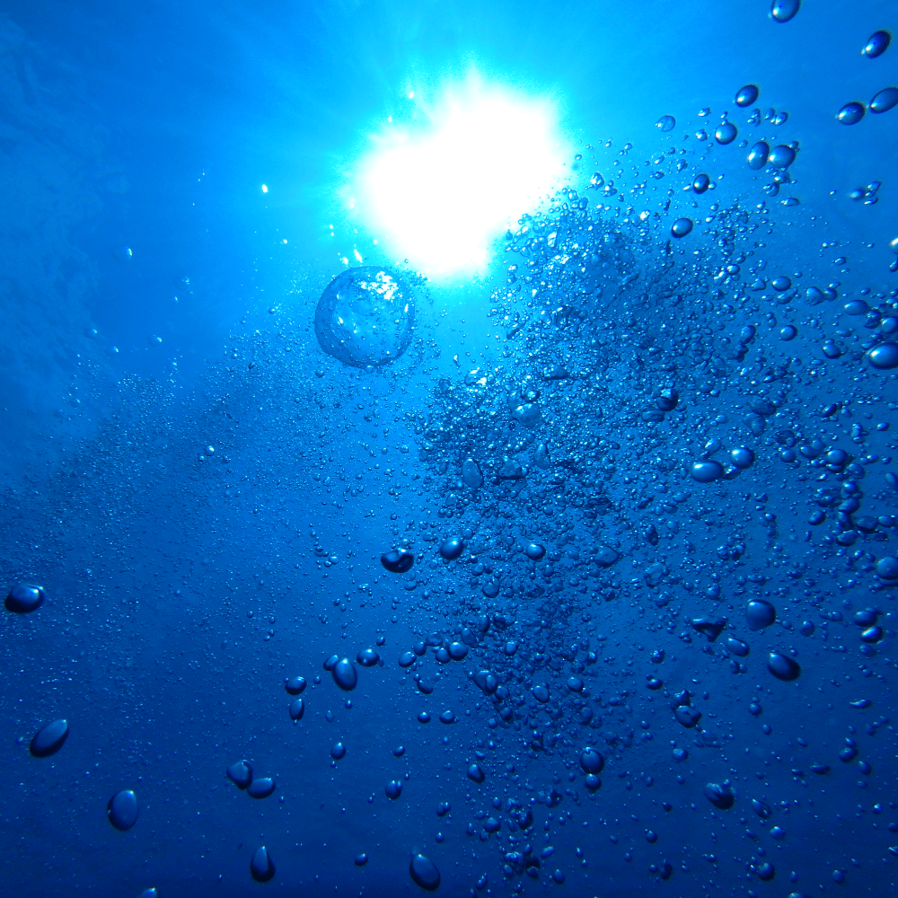 Bubbles while ascending