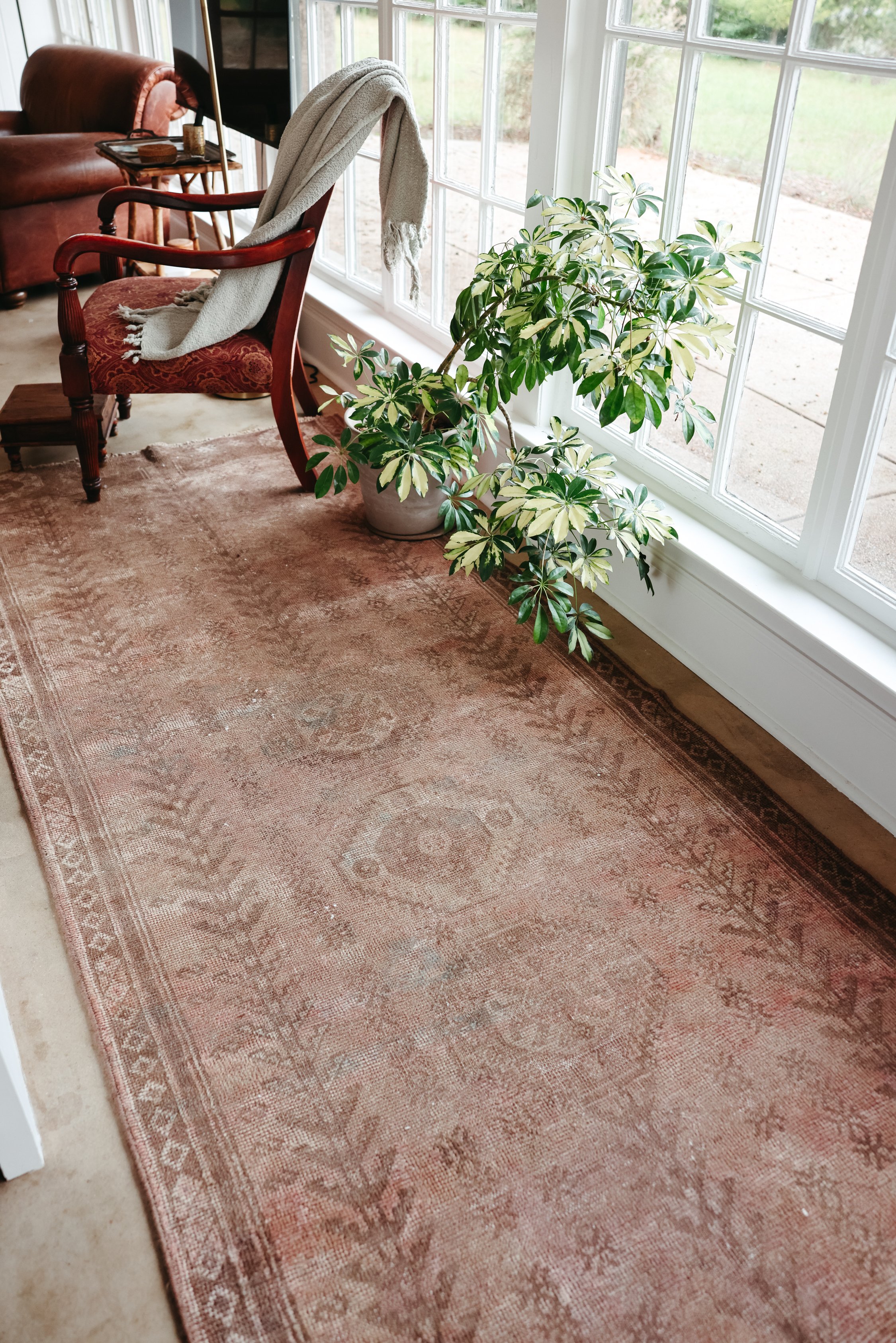 IronPony_Rugs2024-7371.jpg