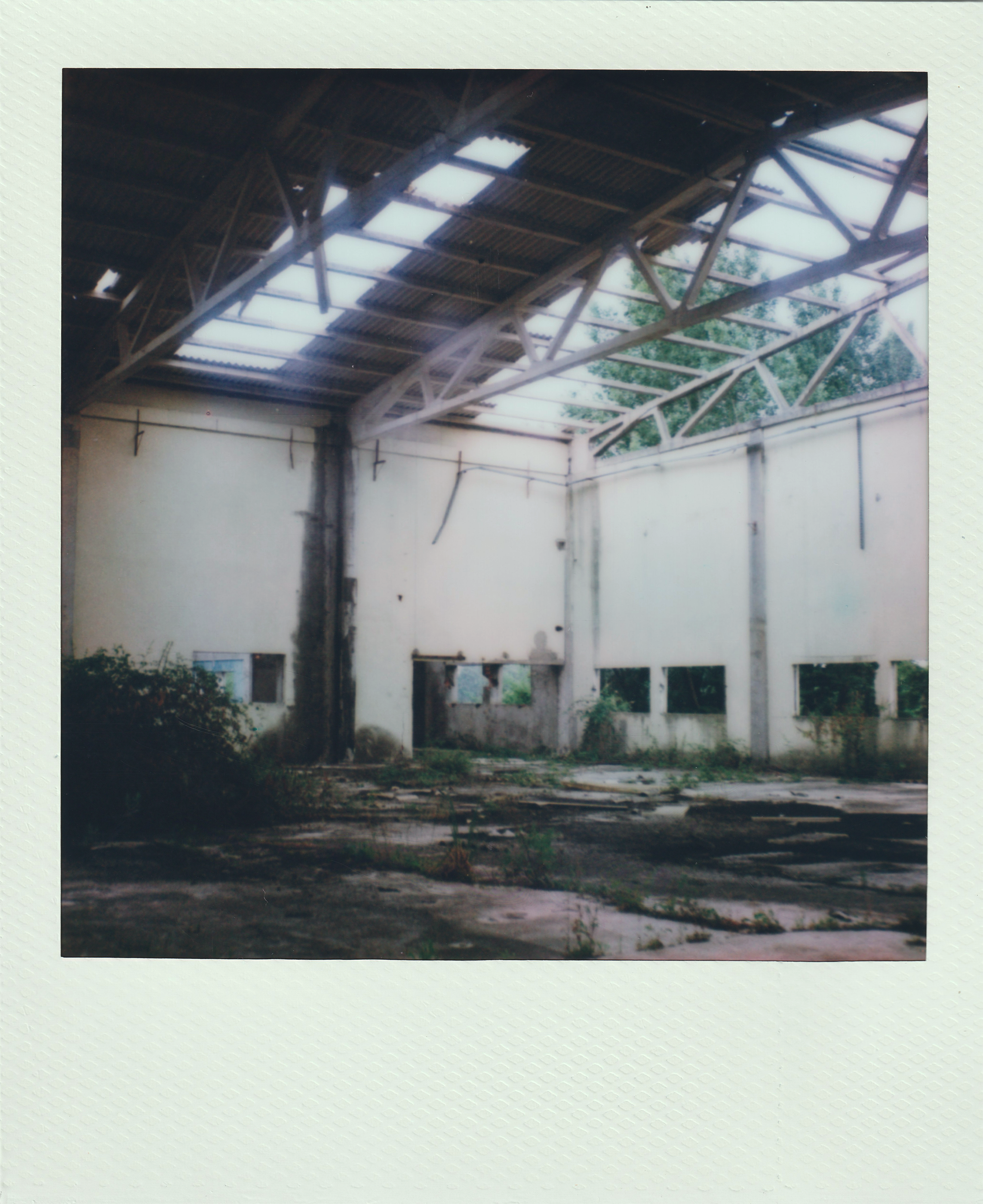 2026.05.30 - Fabrica abandonada - Polaroid SX-70 - Scan_2.png