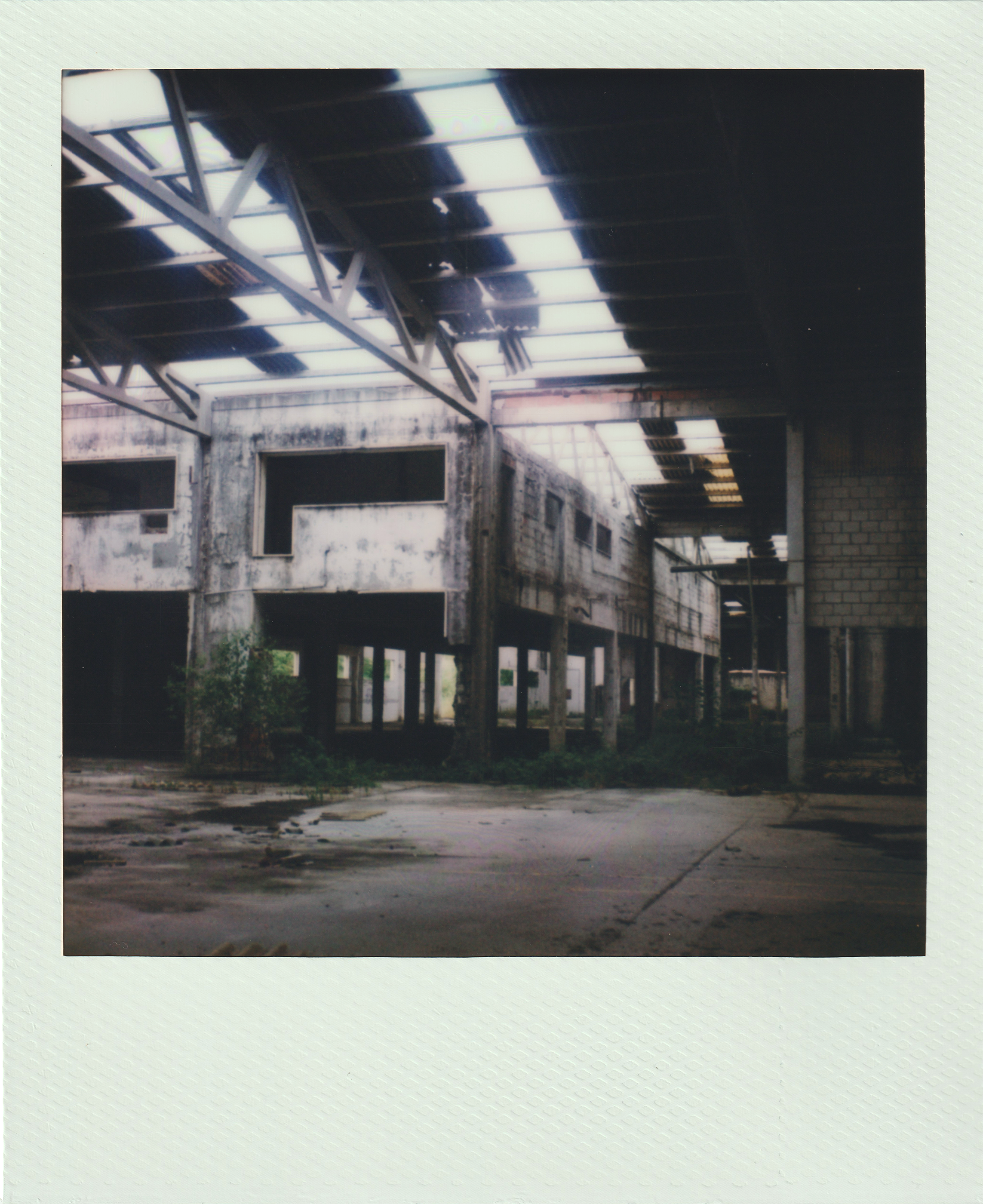 2026.05.30 - Fabrica abandonada - Polaroid SX-70 - Scan_6.png