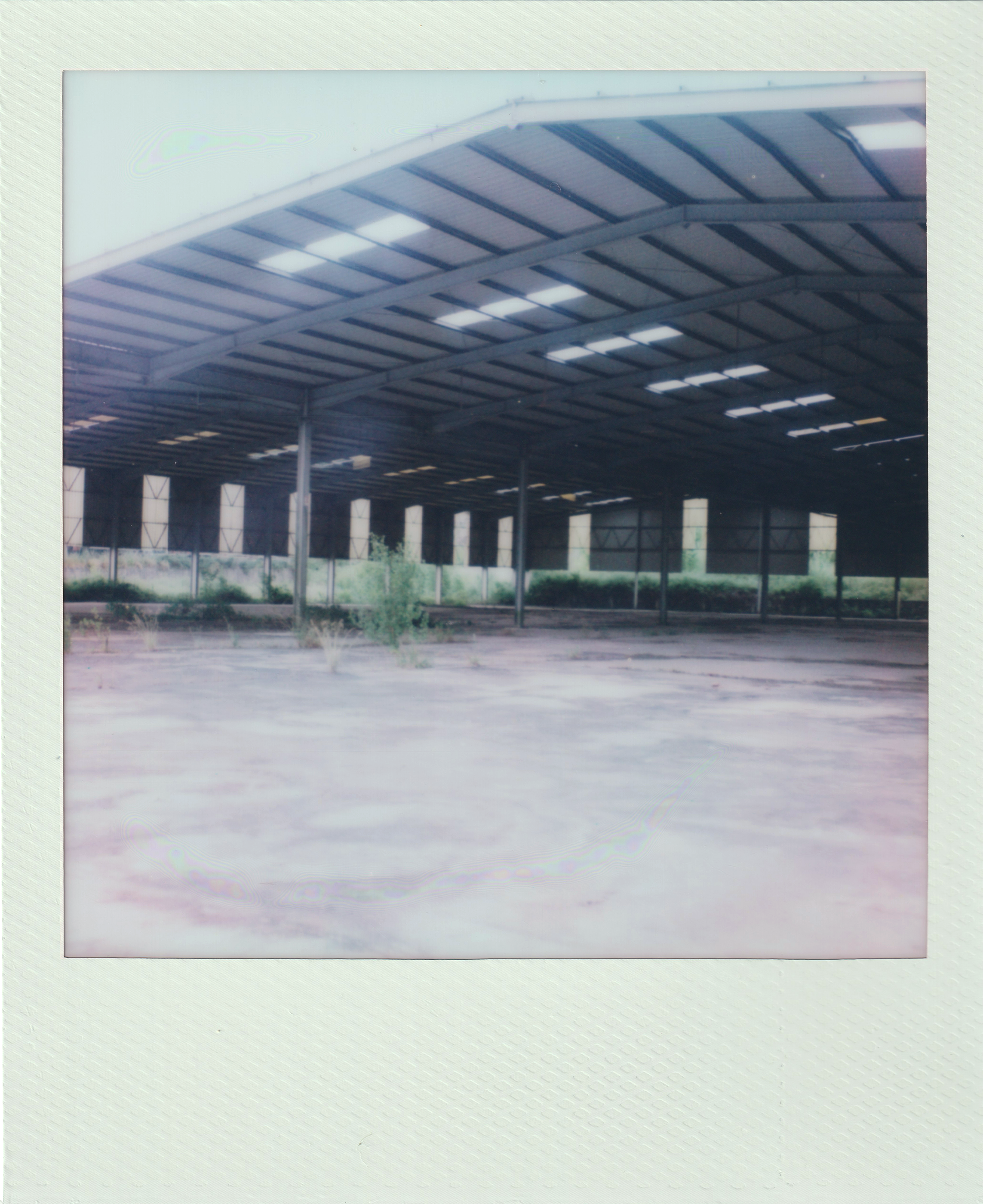 2026.05.30 - Fabrica abandonada - Polaroid SX-70 - Scan_4.png