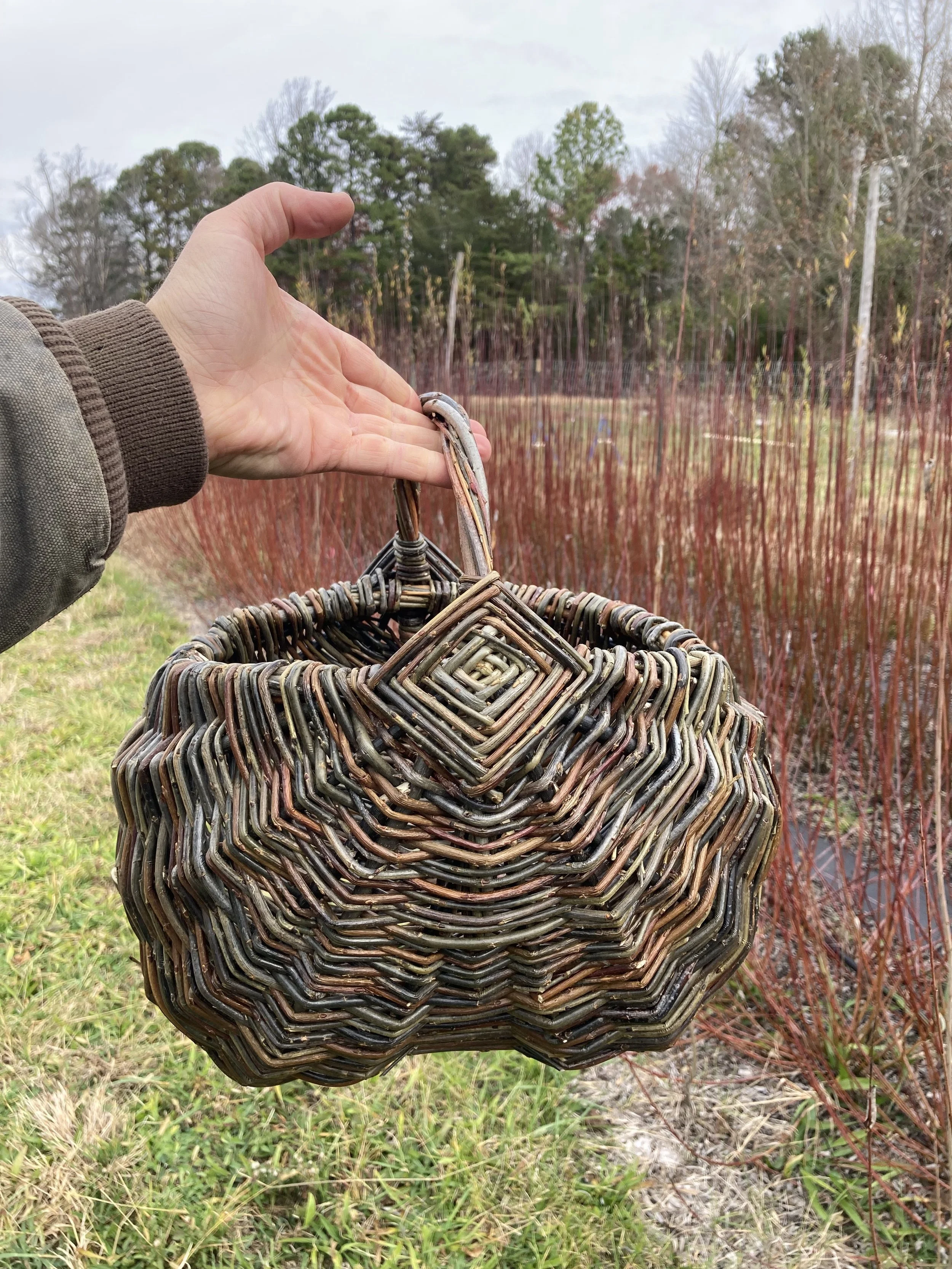 small willow egg basket 1a.jpeg
