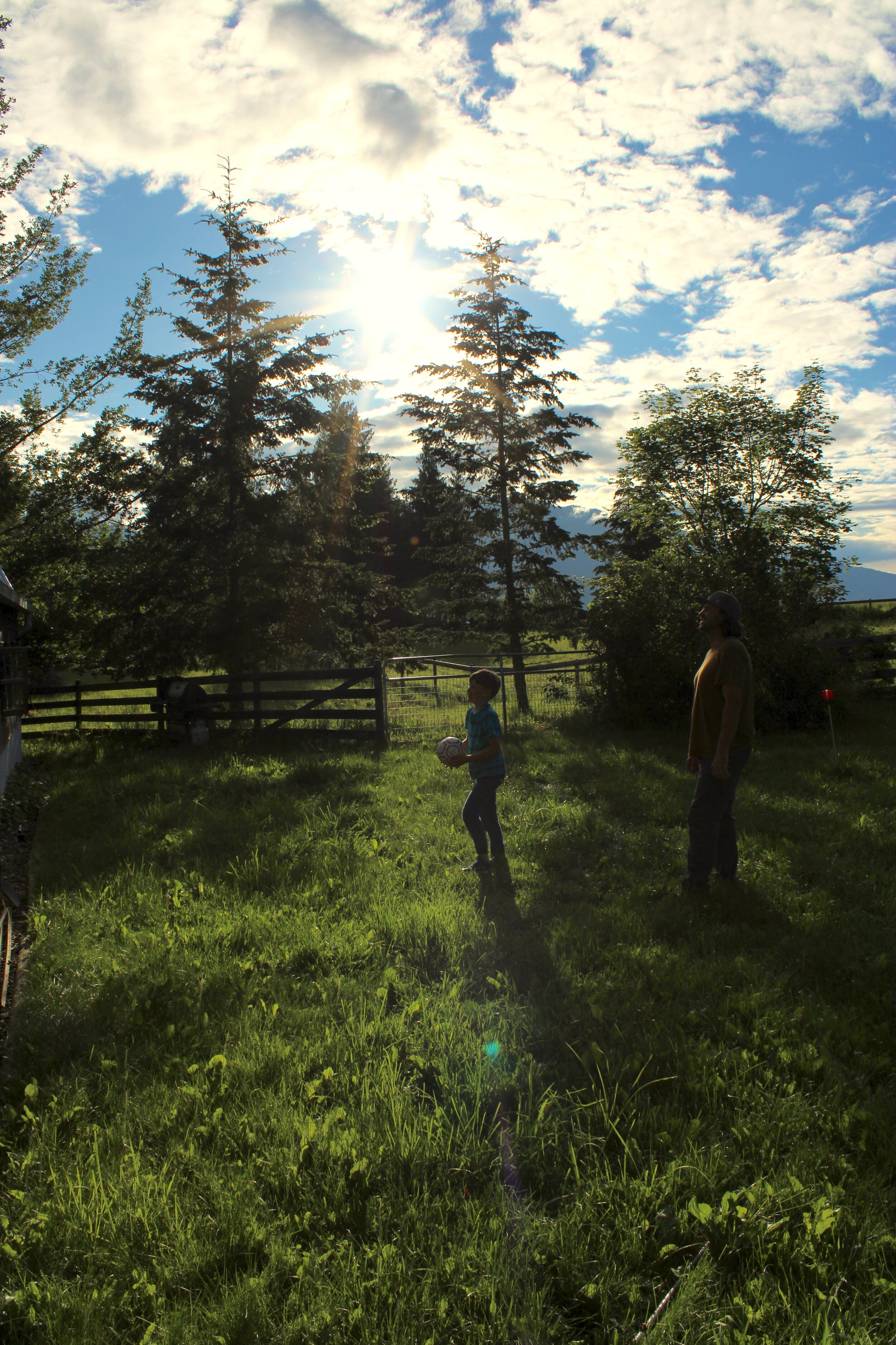 Moments of Joy, Salmon Arm, B.C., 2020