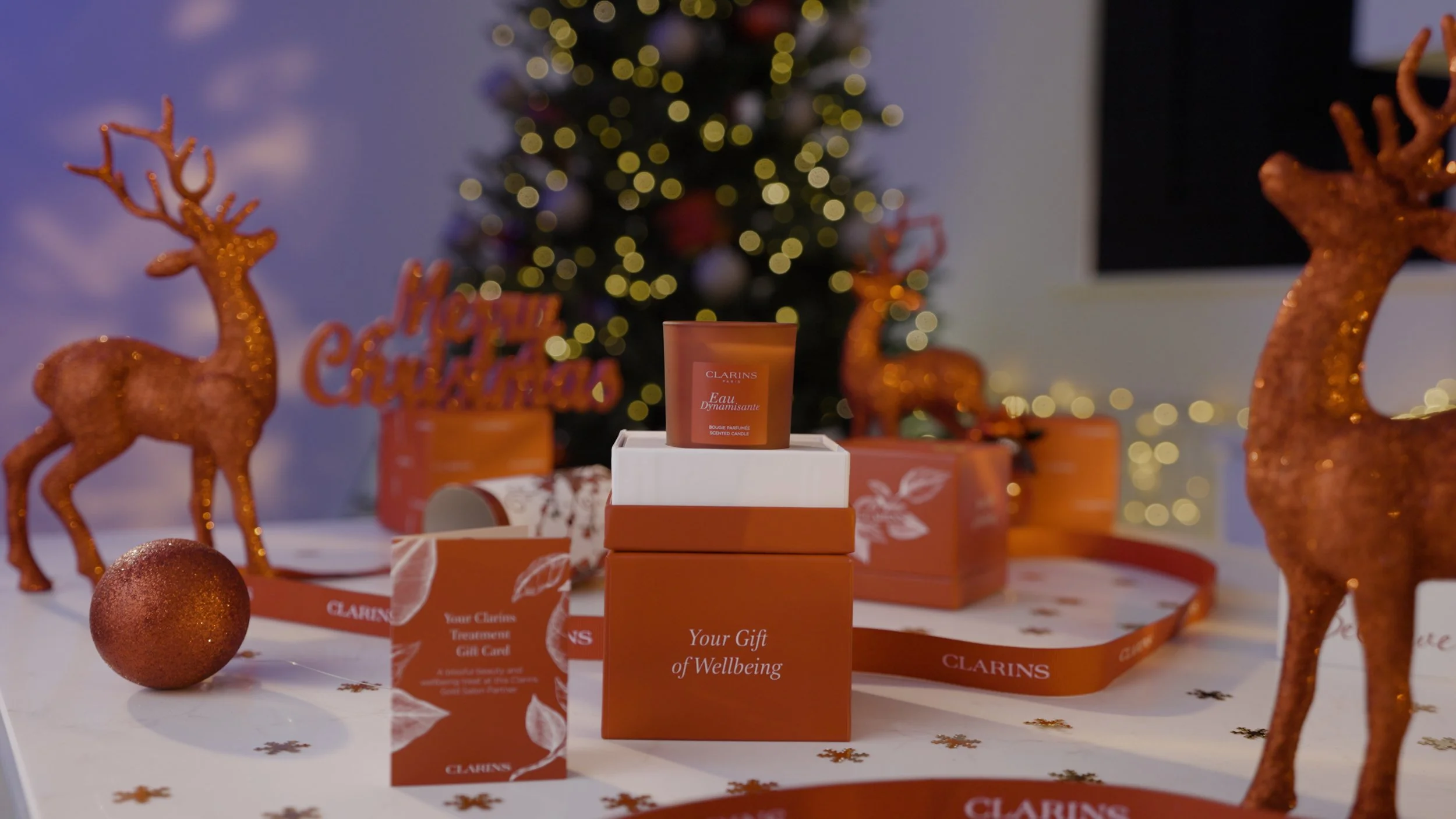 Clarins Reel 1.jpg