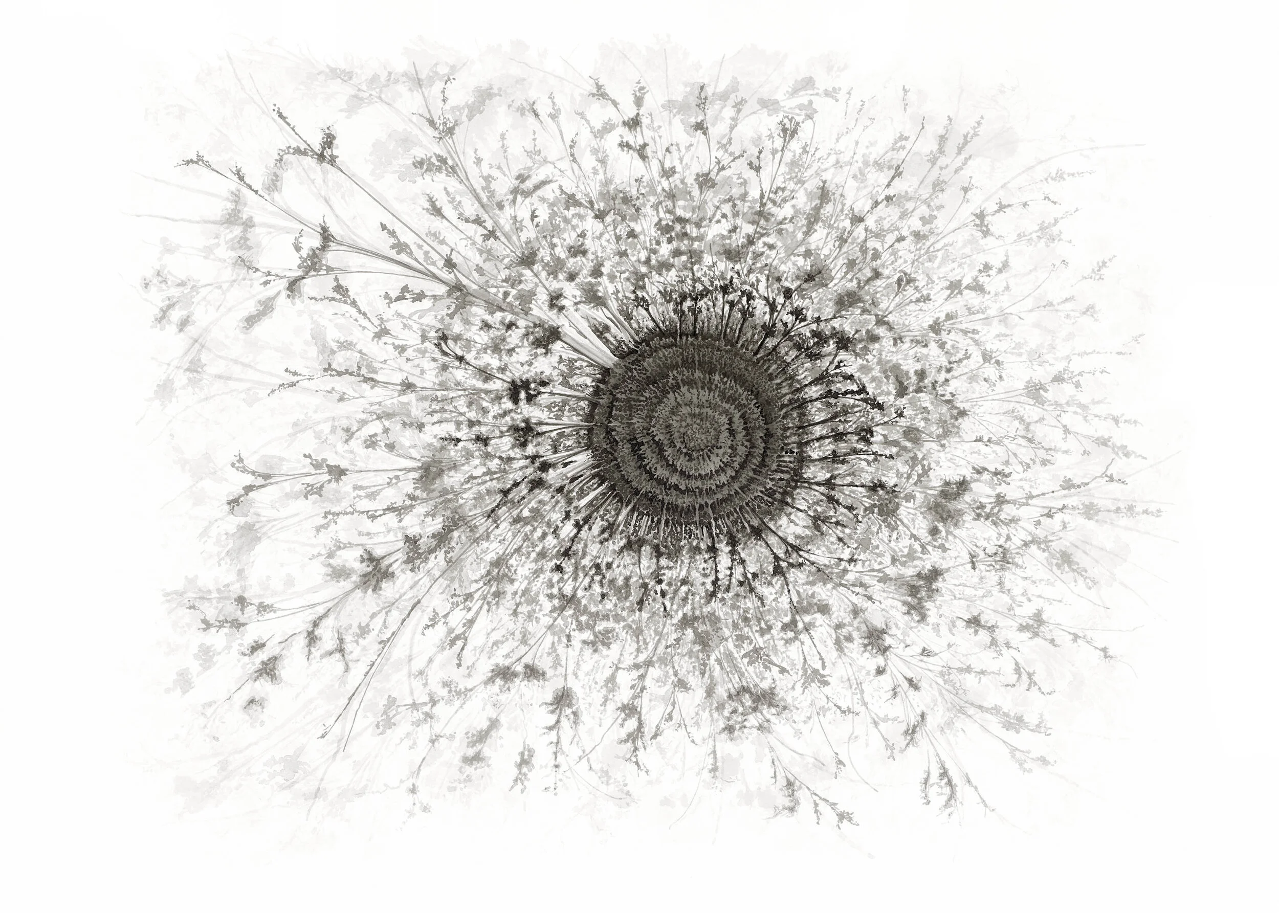 Mandala 1 (Copy)