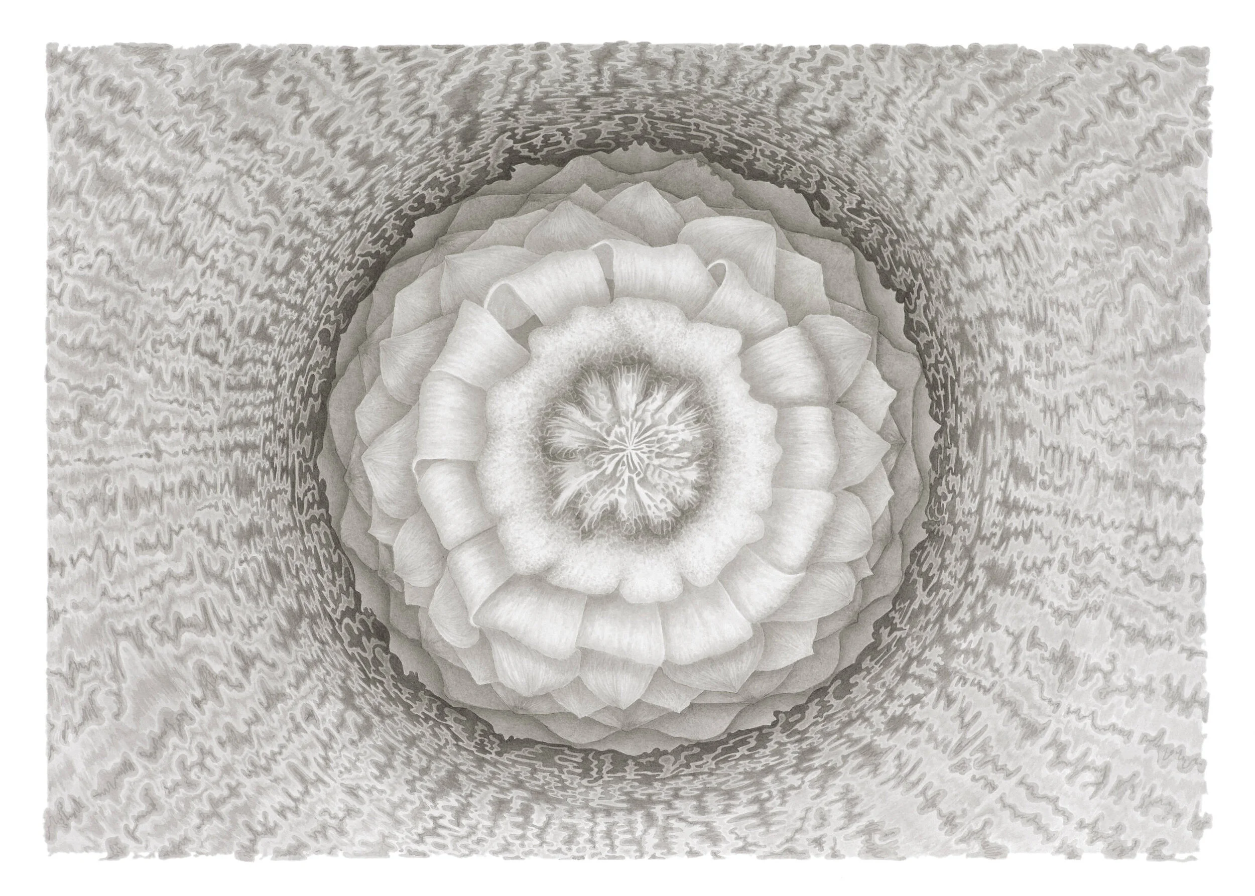 Mandala 2 (Copy)