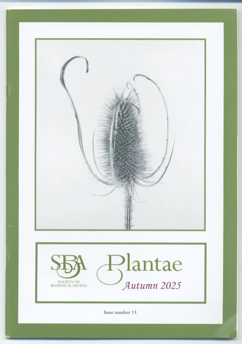 Article dans le SBA Magazine