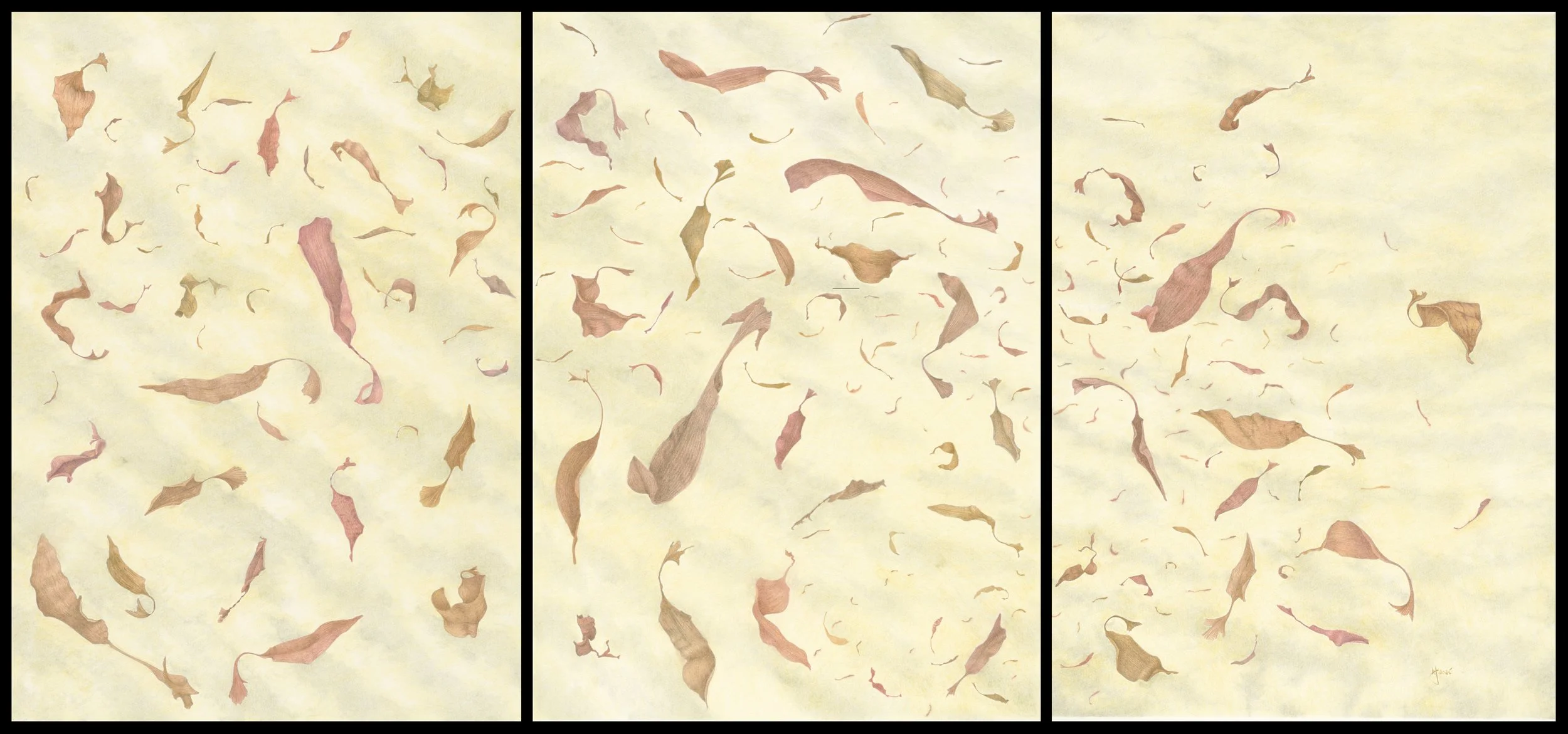 Dessin de feuilles au vent de l'artiste Marcel Jomphe