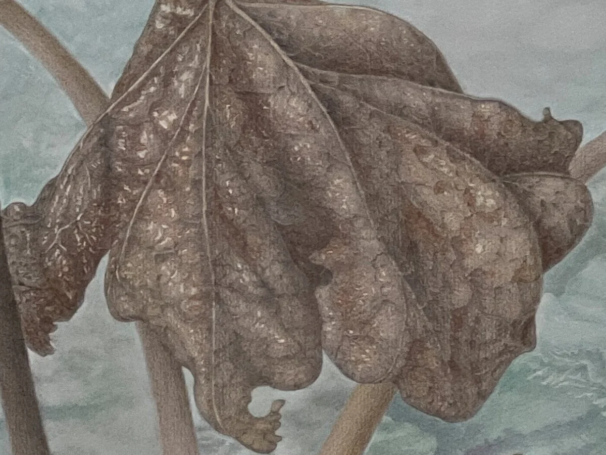 Fragment of an Unknown World 5. Drawing by Marcel Jomphe, 2025.