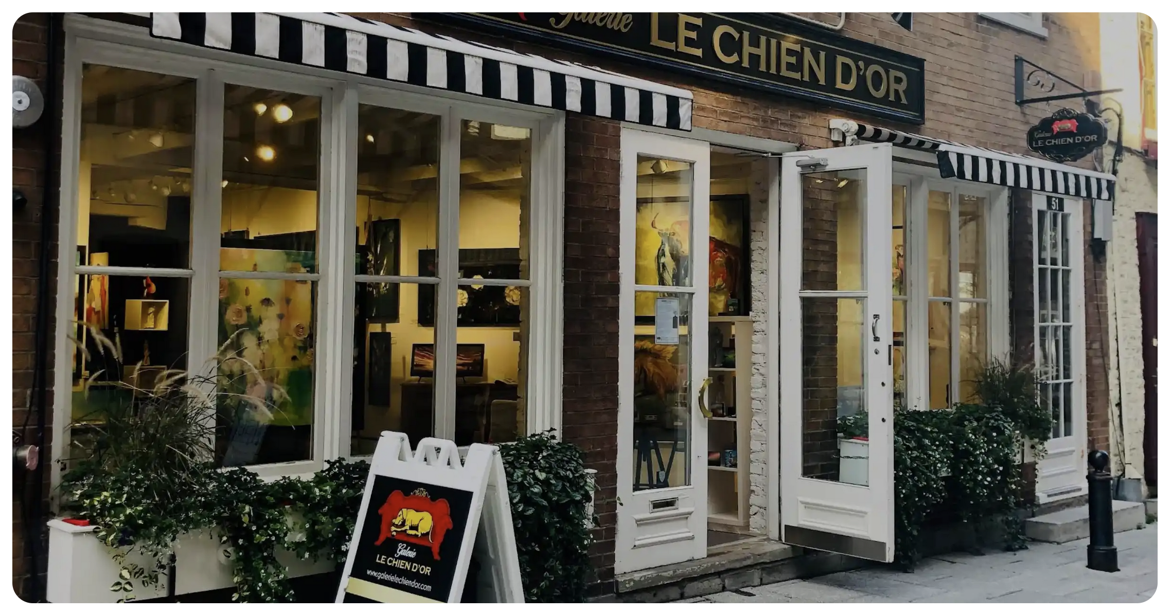 Three of my drawings on display at Le Chien d'Or gallery in Quebec City
