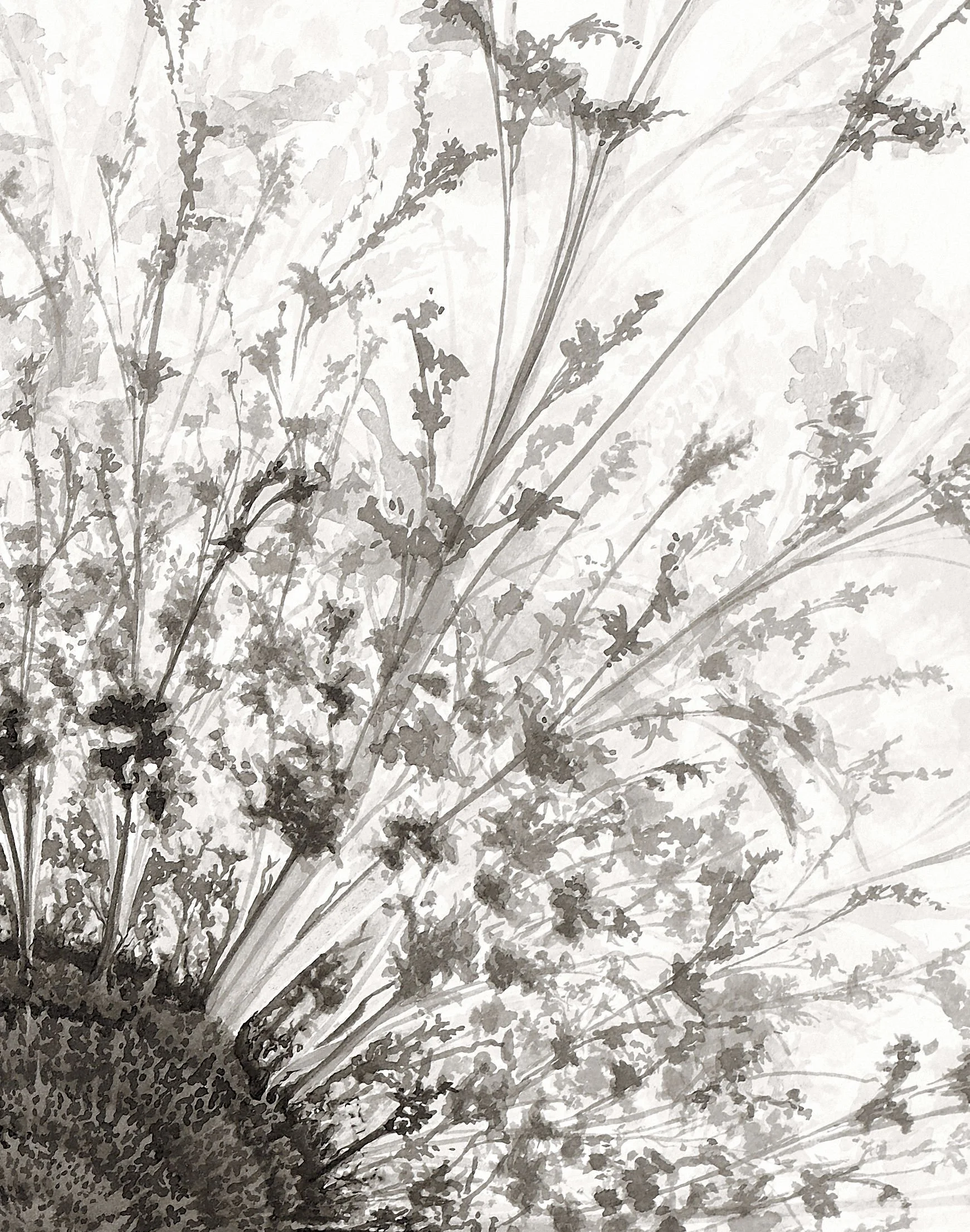 mandala1-detail2.jpg