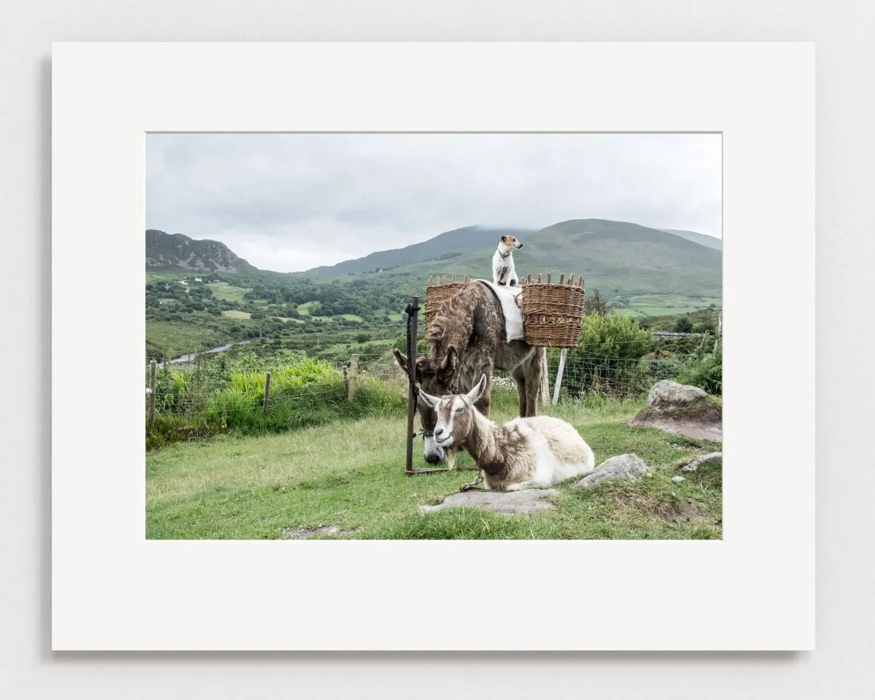 Resting at Glenbeigh on the Ring of Kerry
