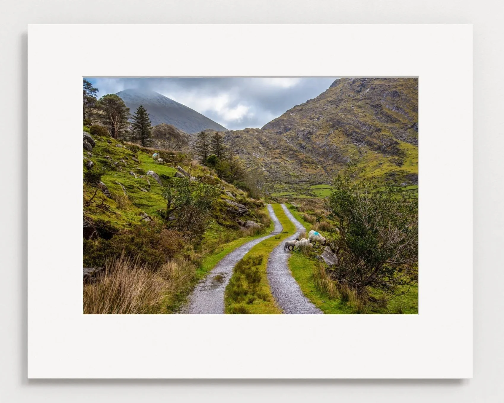 Bridia Valley, Glencar, Co. Kerry