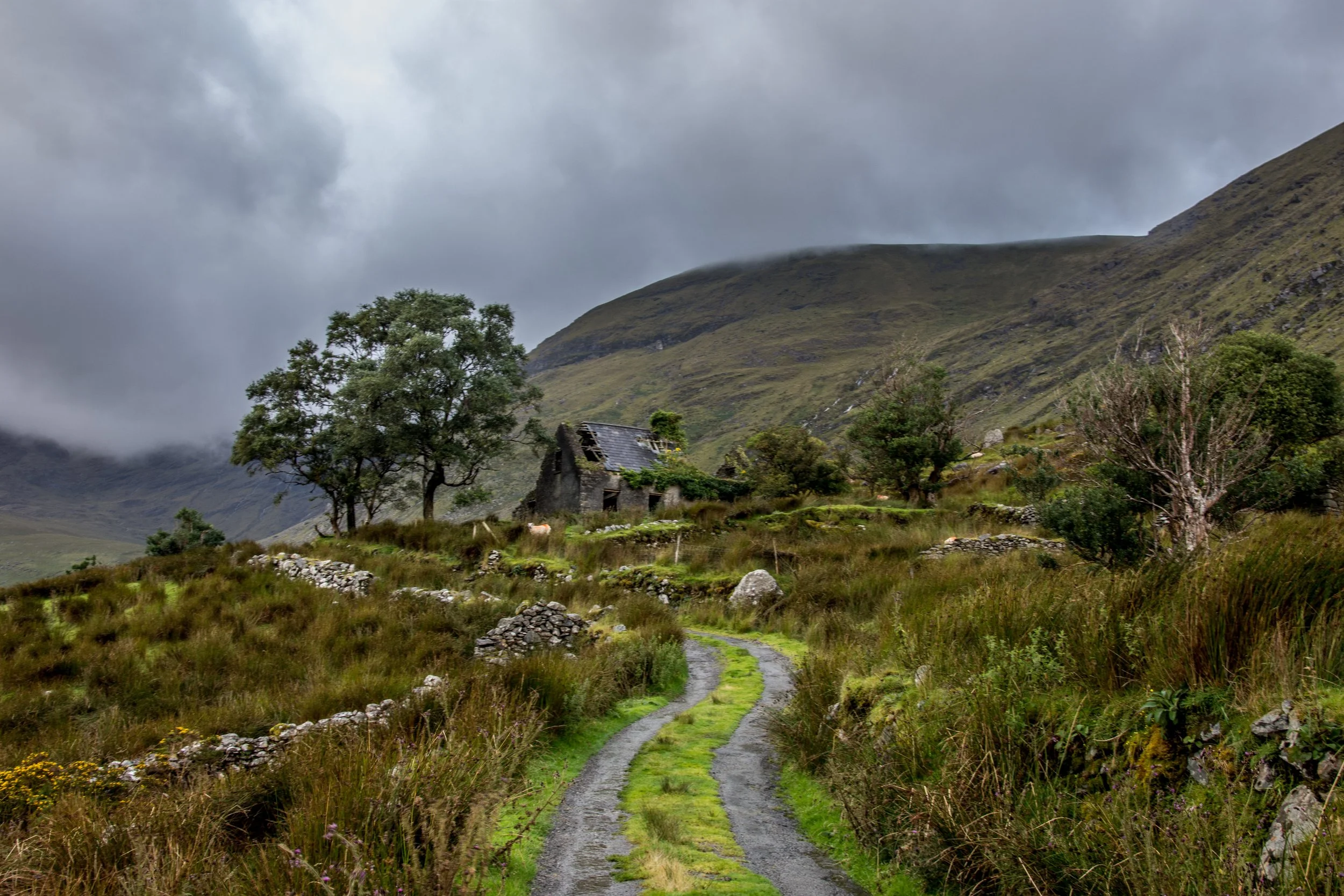 *27*DSC_5260.jpg