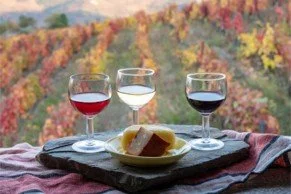 Portuguese Wines and Sunshine Cheeses, Saturday 9th May 2026,  7pm, The Cheese Wheel at Torr Vale