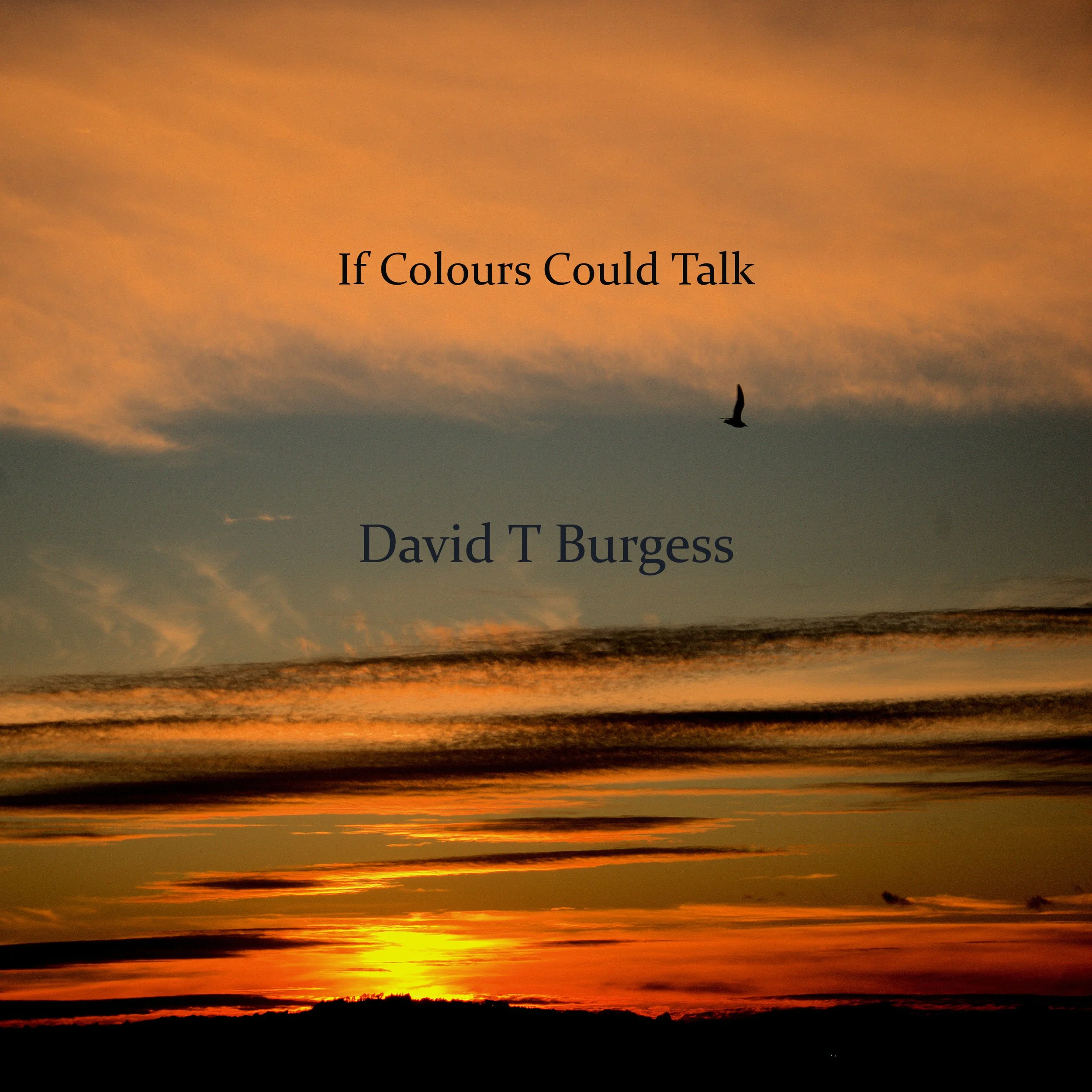 Upcoming Album Release