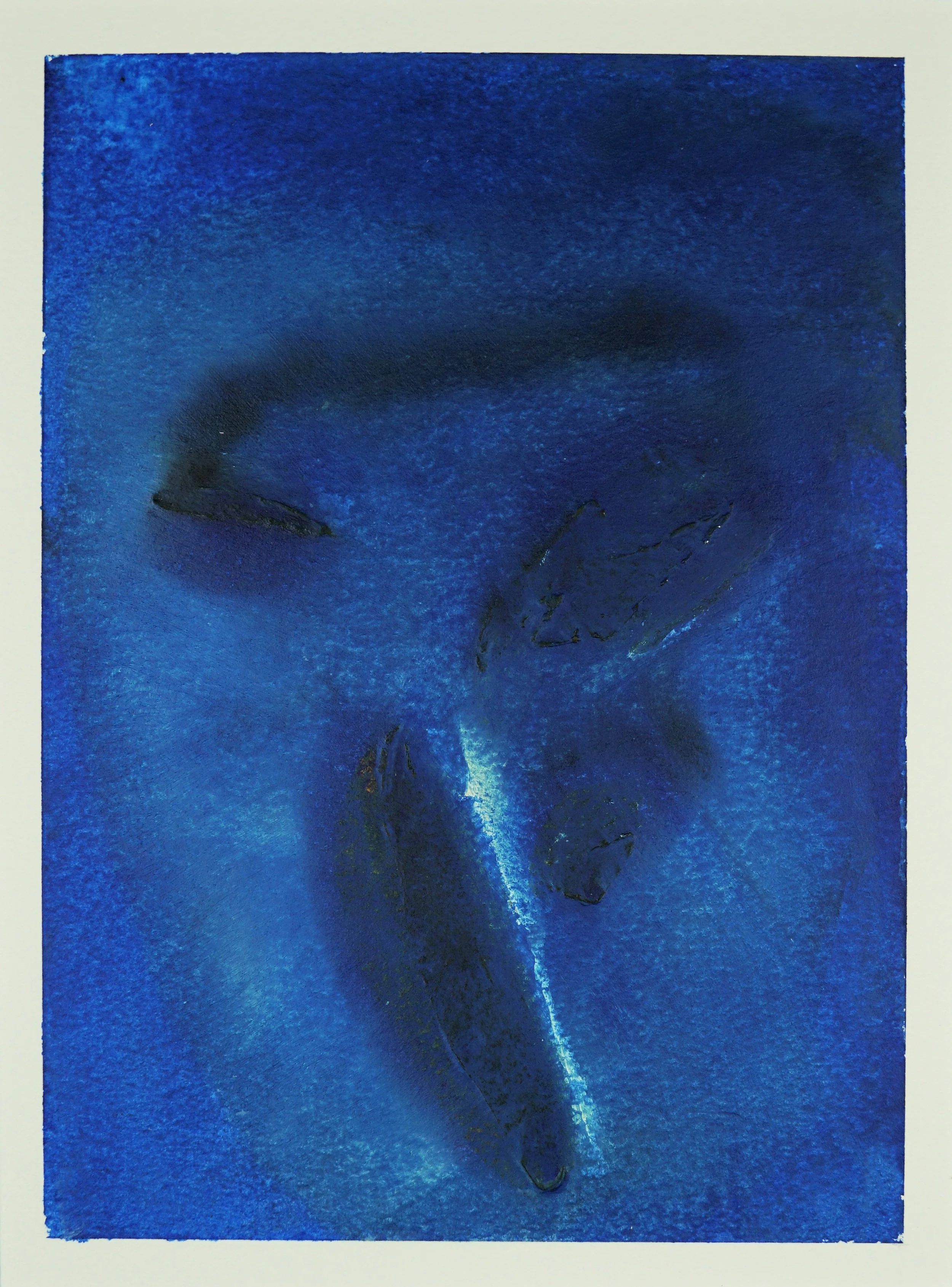 Whispers of a Serenade Front WITHOUT mount.JPG