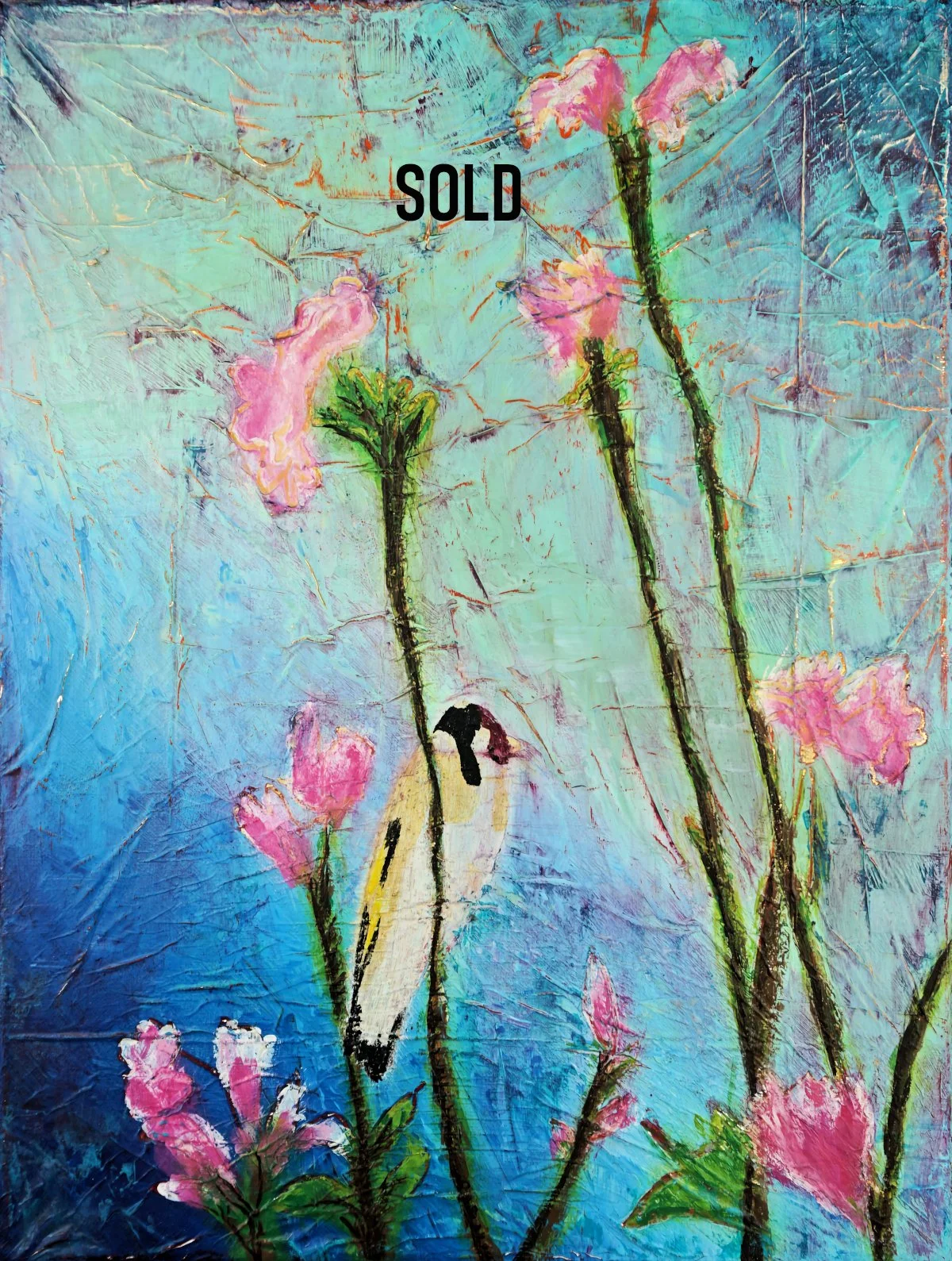 Goldfinch Front 3 Sold.JPG