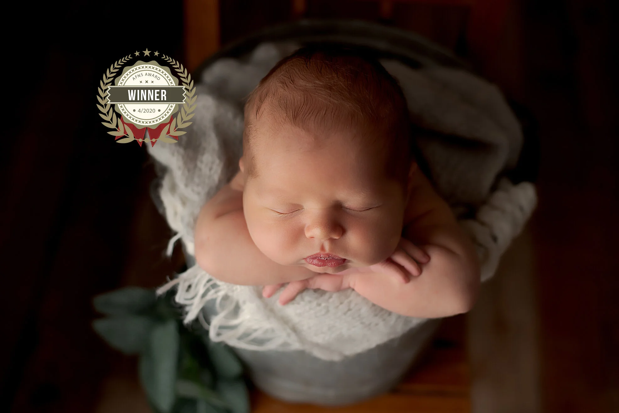 Northfield Newborn Photographer