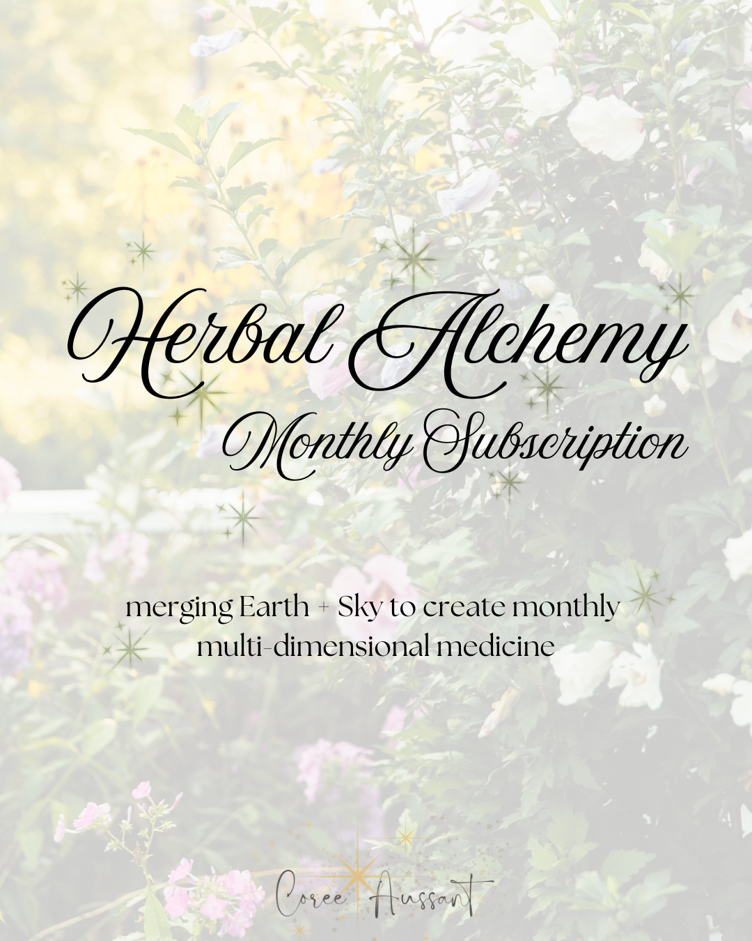 Herbal Alchemy Subscription (1).png