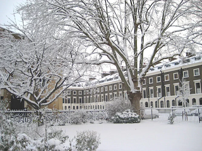 Trinity Church Square, a history