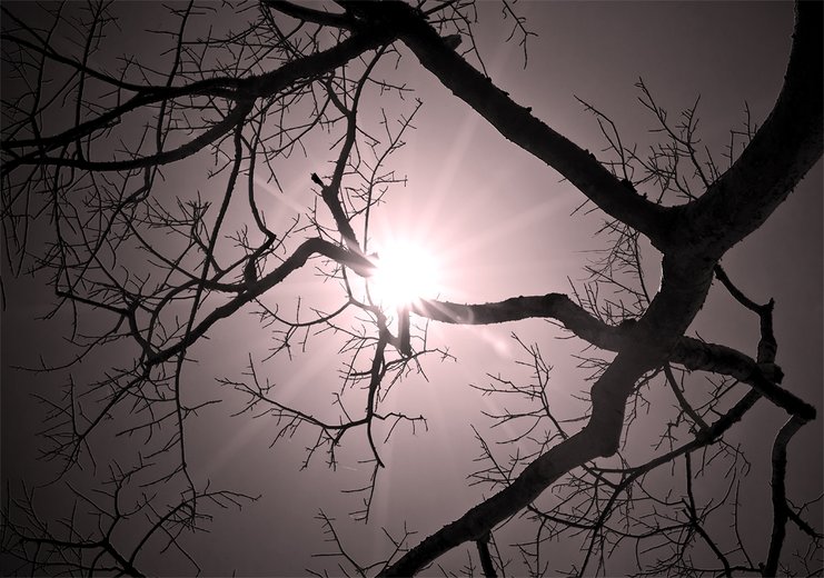 ray of light.jpg