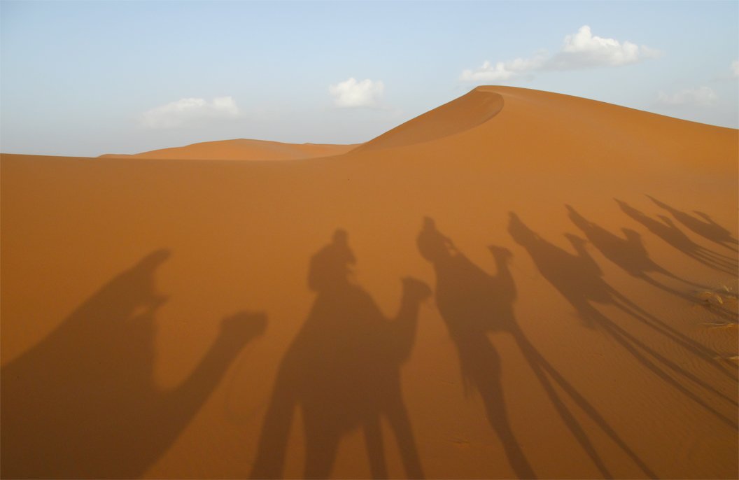 the-group.jpg