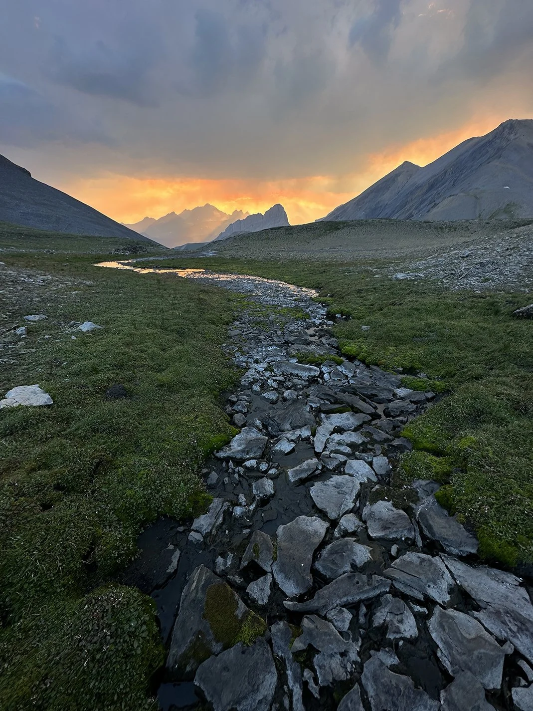 northover_2.jpg