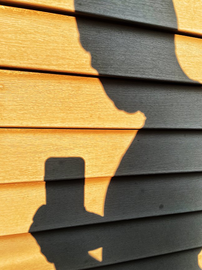 shadow_1.jpg