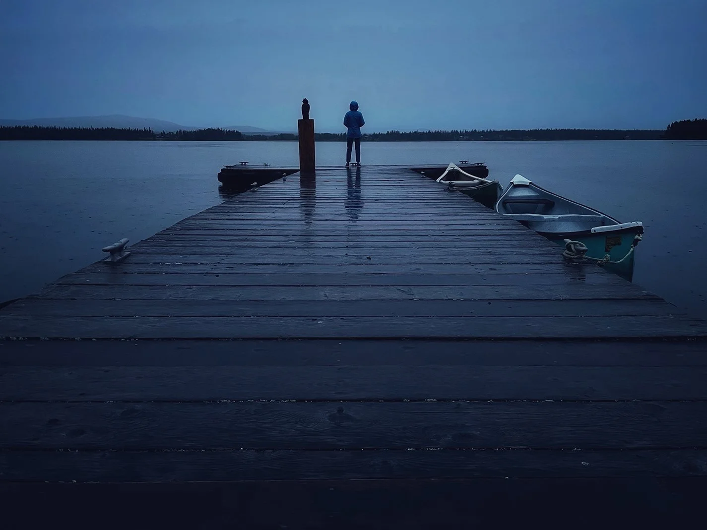 lake anahim.jpg