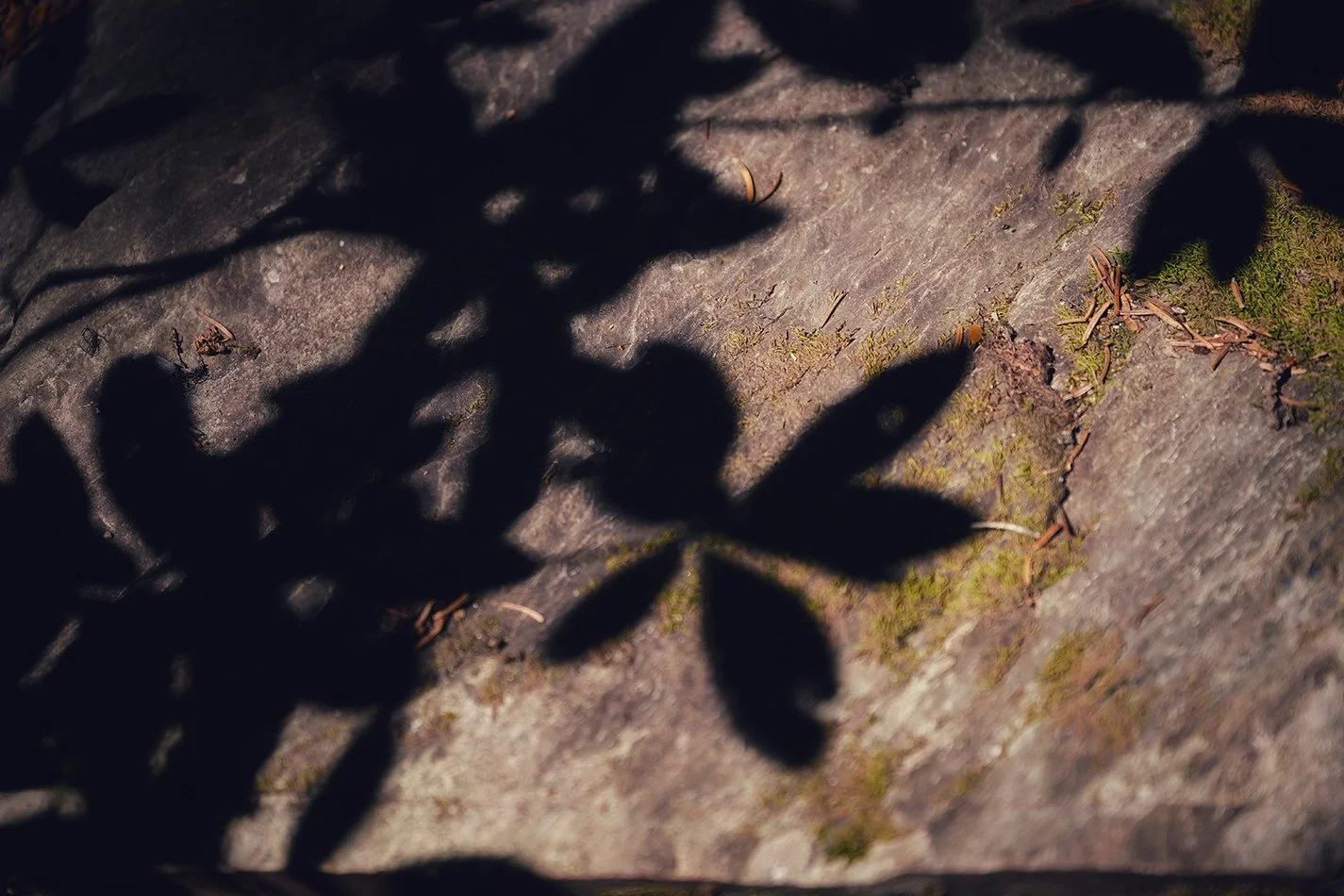 abstract shadow.jpg