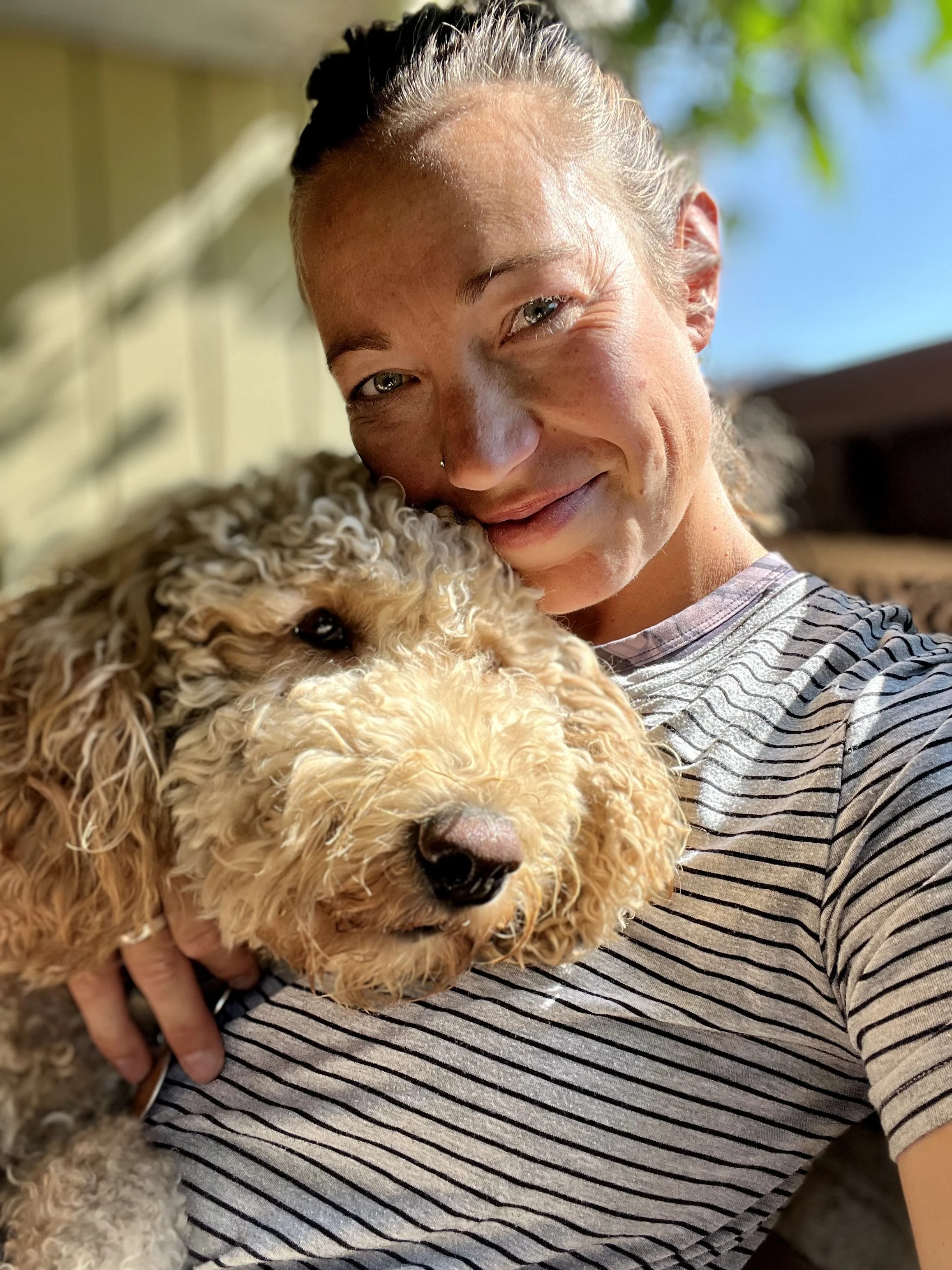 Goldendoodle puppy mom bellevue washington