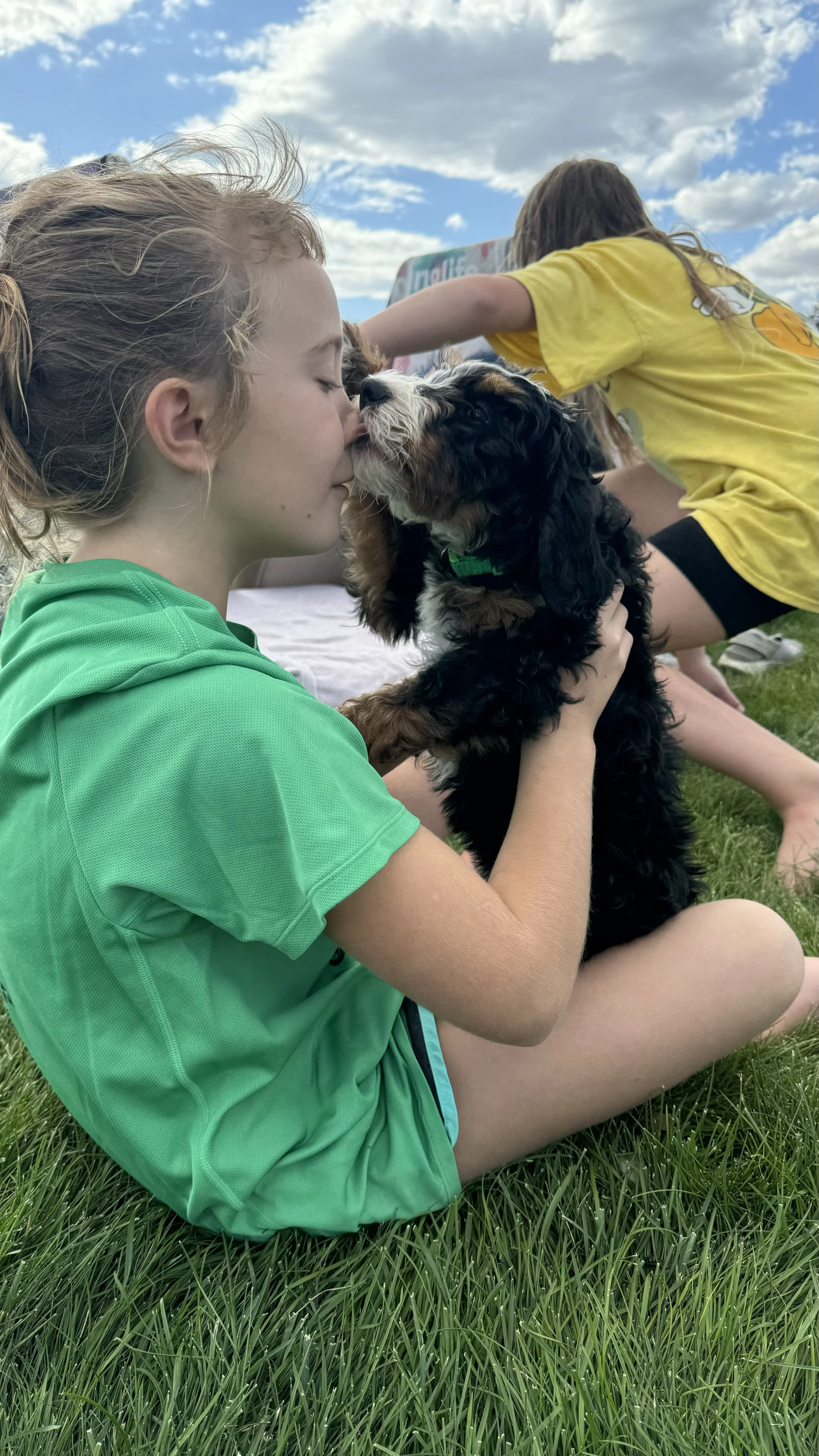 Bernedoodle puppies raised in home Madras Oregon available Portland Oregon families