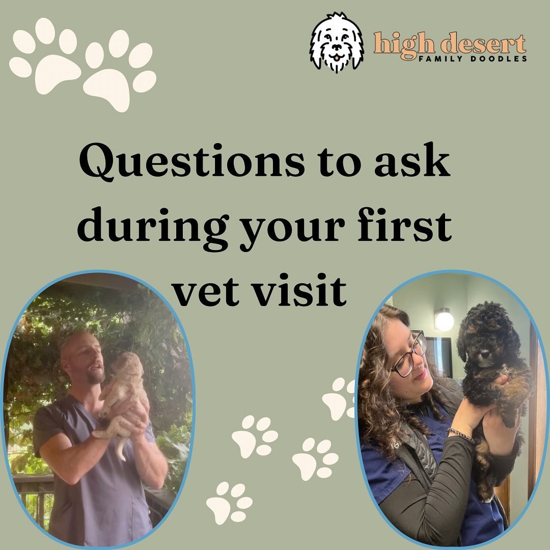 As we prepare our seven week old puppies to launch, there&rsquo;s so much to help educate on that we try to get in hands BEFORE puppy is in hands. The more prepared our families are, the more confident they feel once their navigating all the stages ?