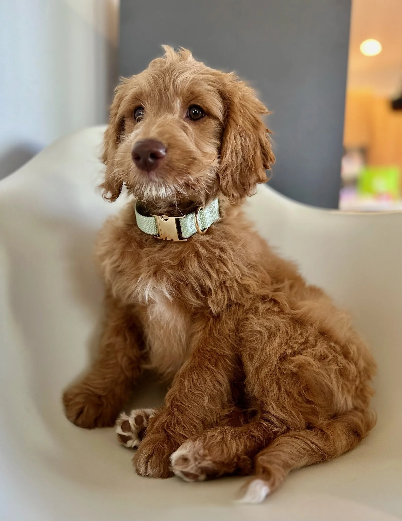 JPEG image-AAC535936A51-1.jpeg