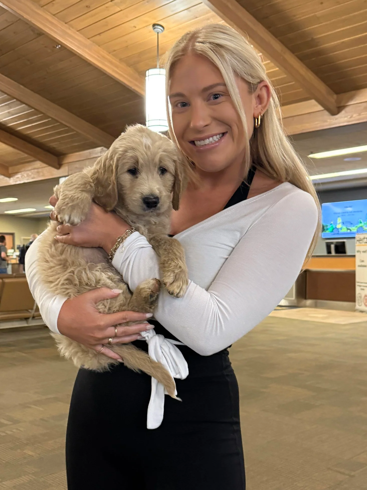 The First Week With Your Goldendoodle or Bernedoodle Puppy: What to Expect